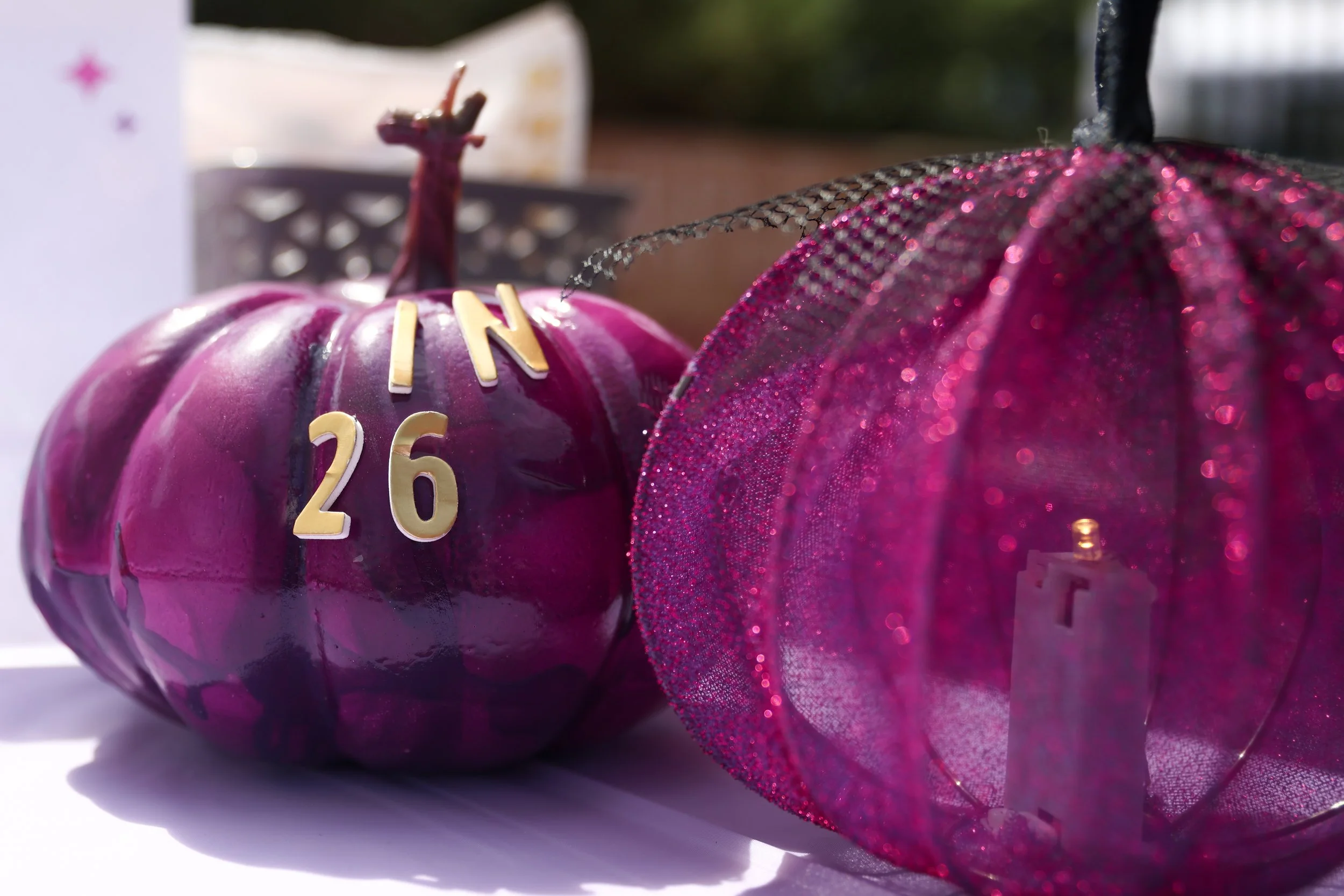 pumpkins2026-09-19-031.jpg