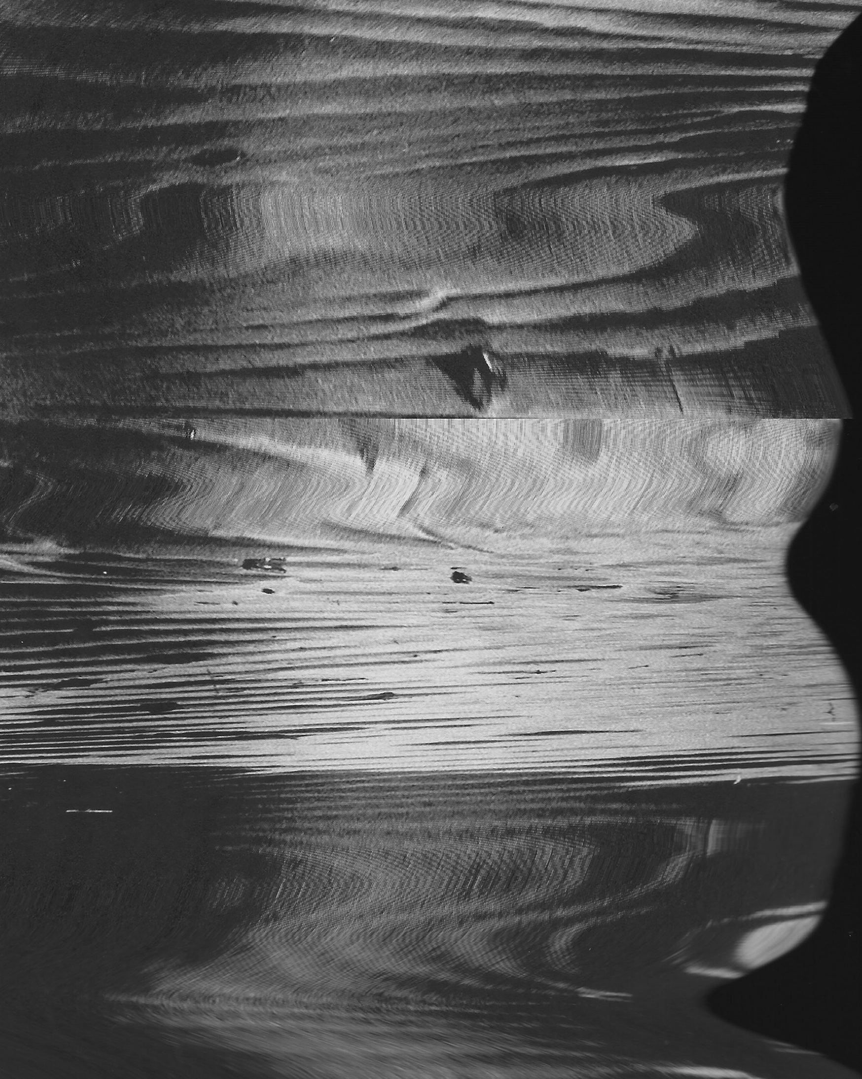 Black and white photo of a beluga whale swimming in water, with some boats or objects visible in the distance.