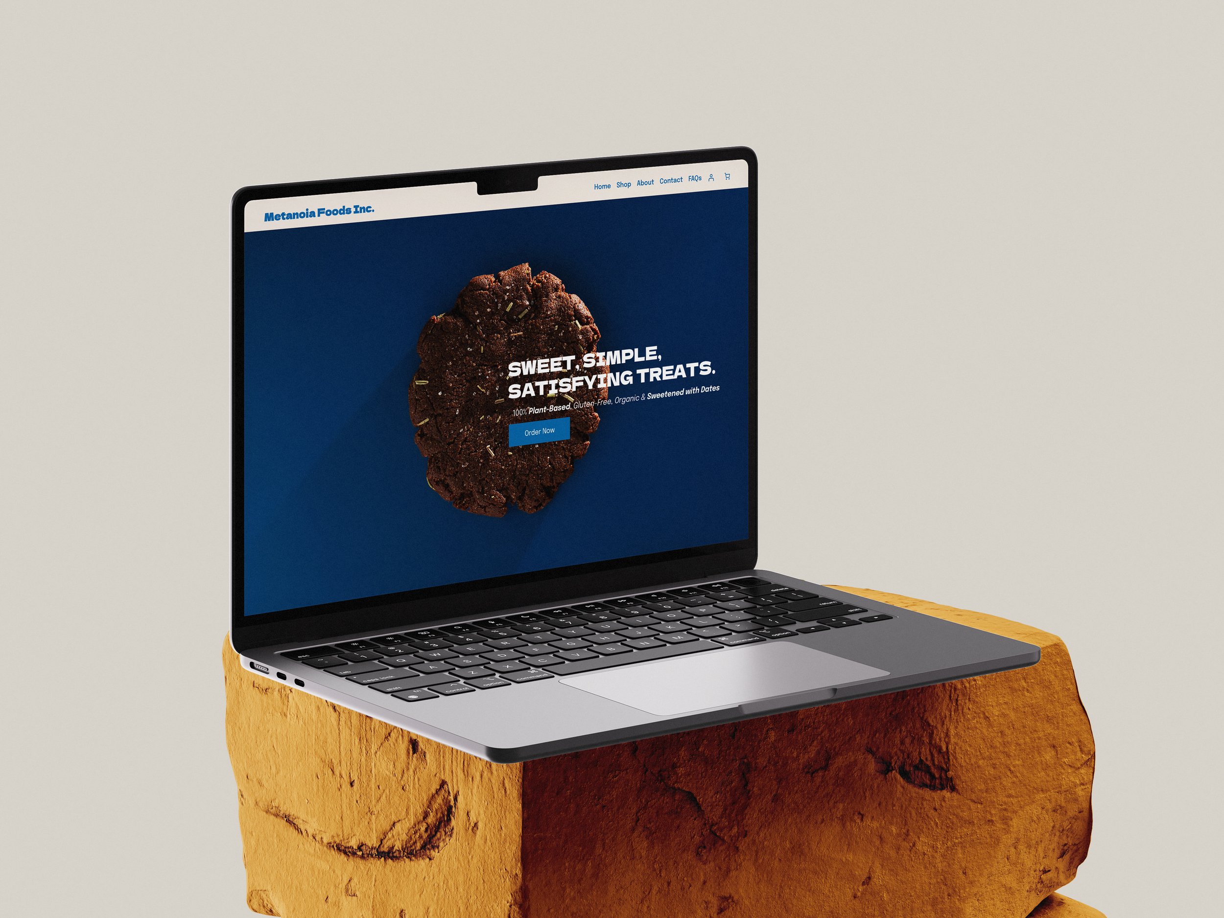 Metanoia Foods Inc Website