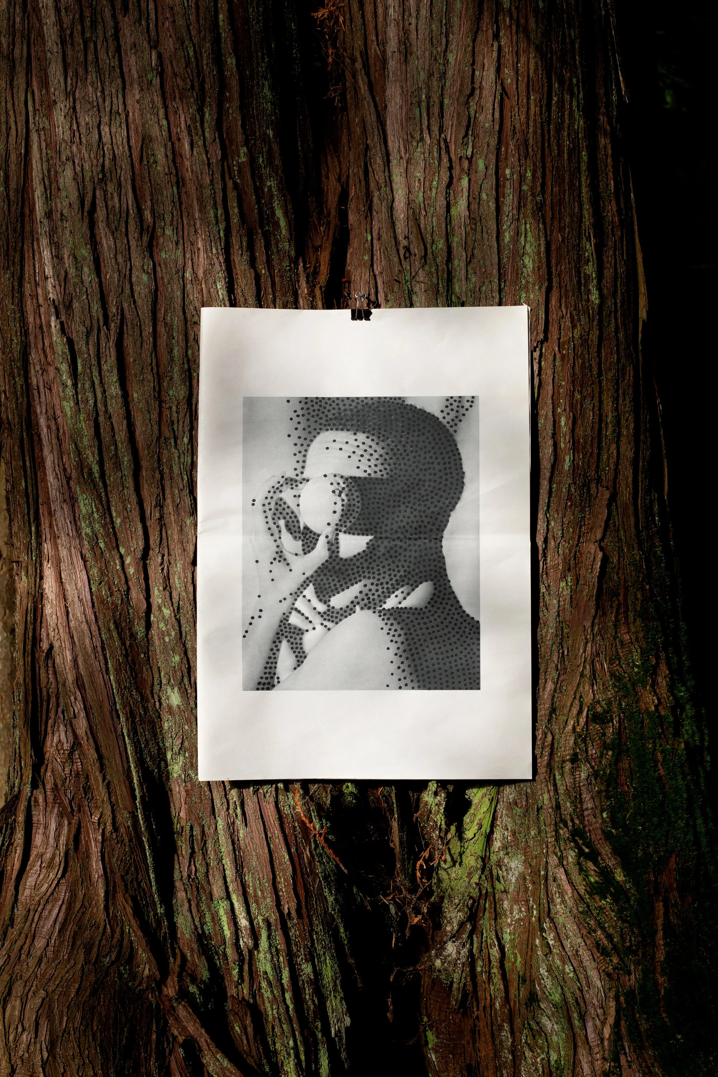 Black and white stylized portrait of a person wearing sunglasses, holding a handle to their ear, printed on paper and clipped to a tree trunk.