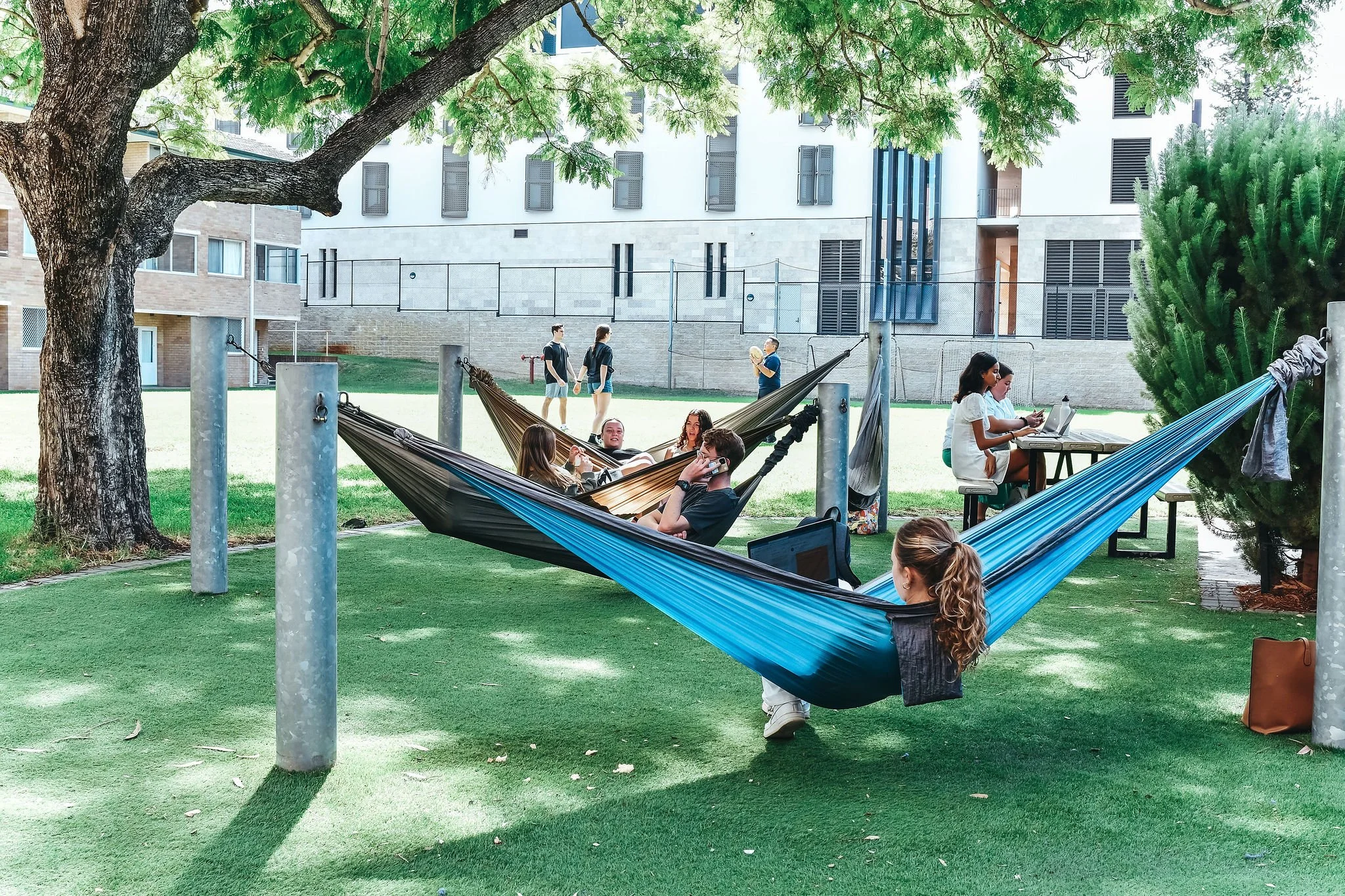 St Thomas More College