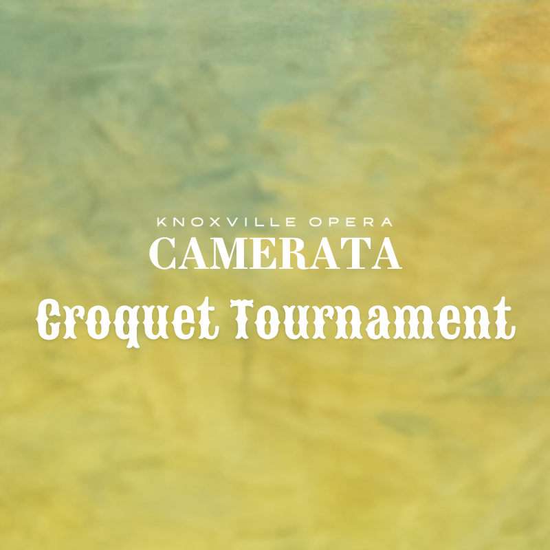 Annual Croquet Tournament