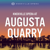Opera Under the Stars: A Summer Series at Fort Dickerson Park