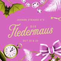 Die Fledermaus