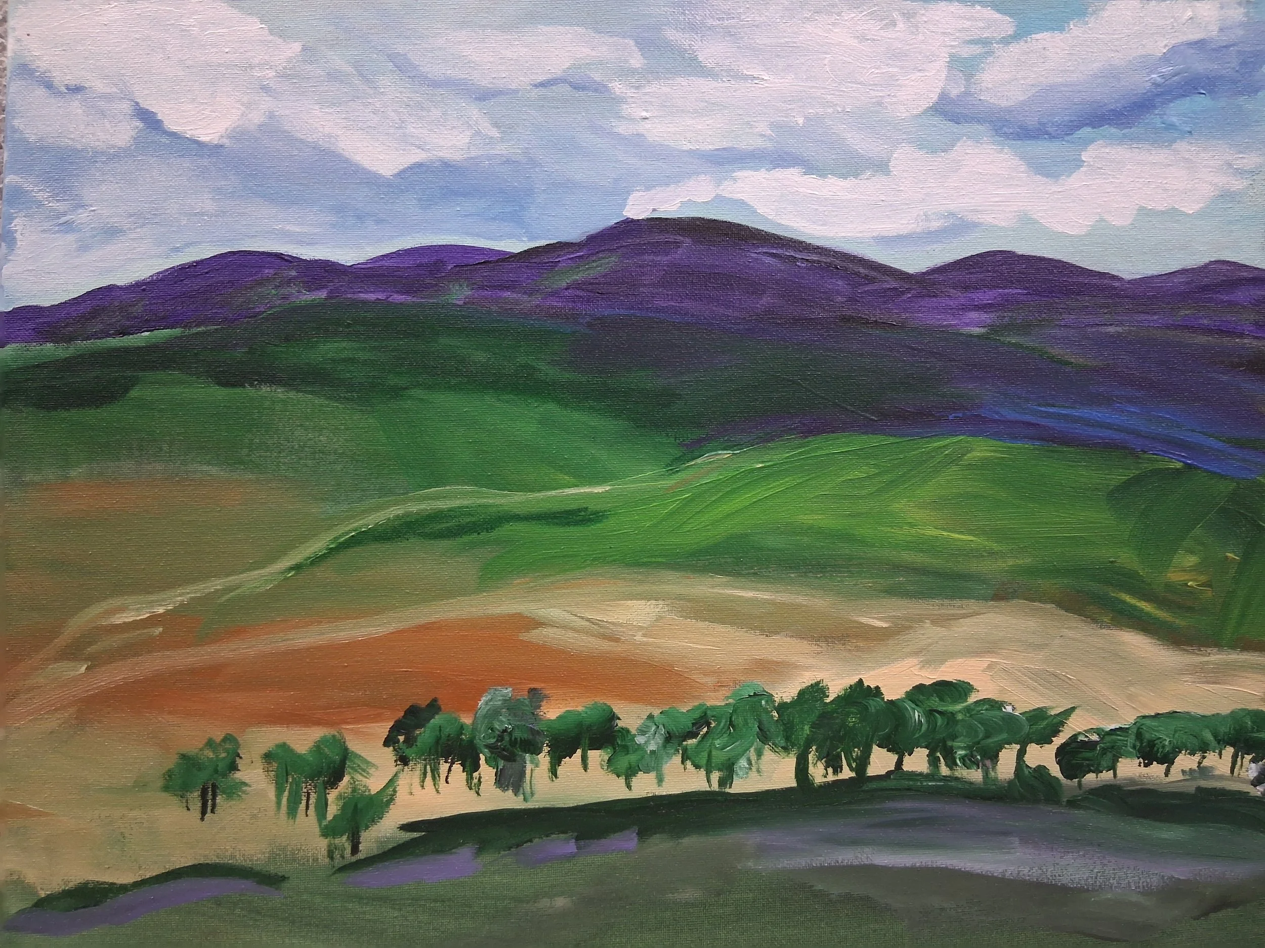 The Catskills North Flank - Beautiful Coxsackie Series