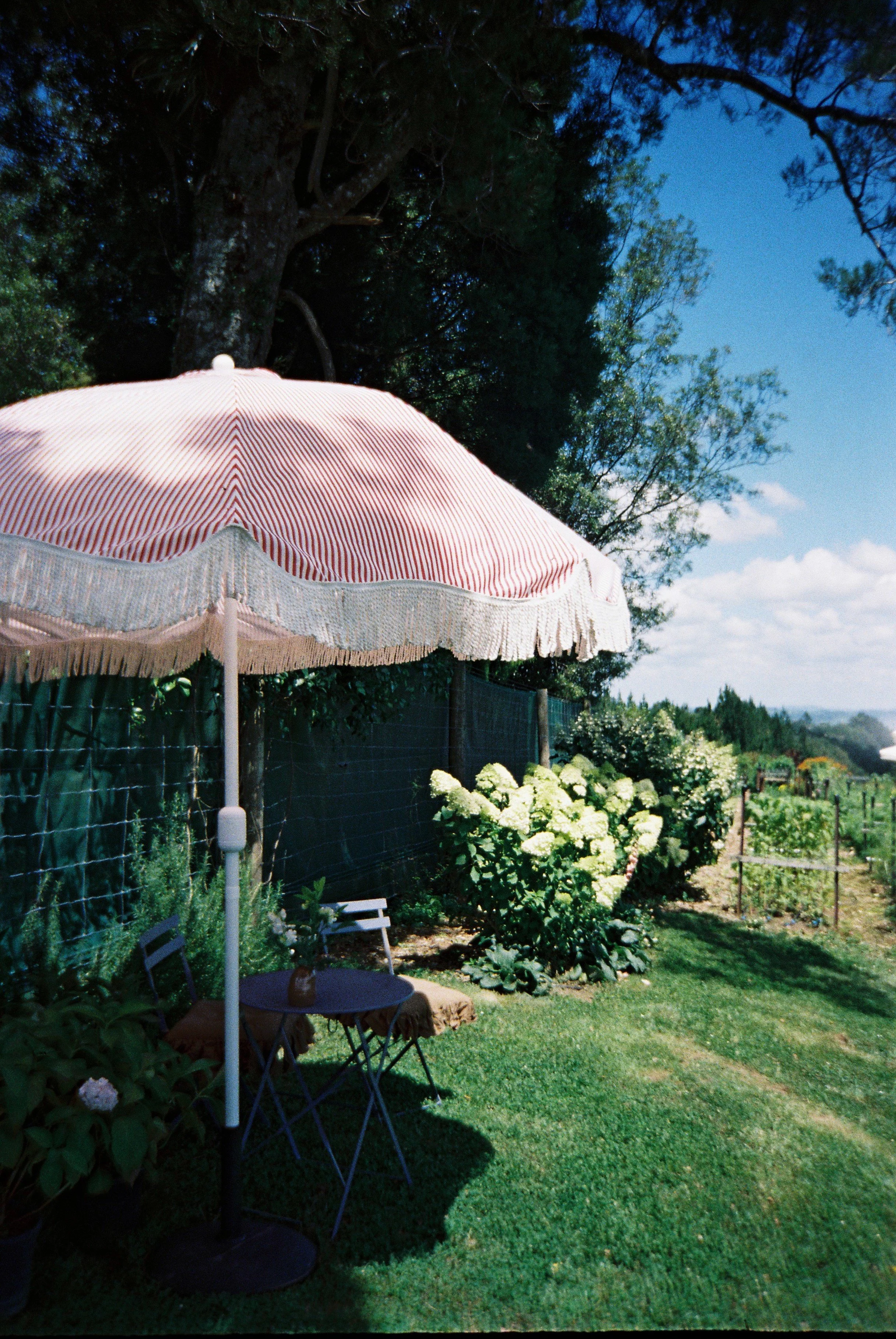 Picnic in the flower field.JPG