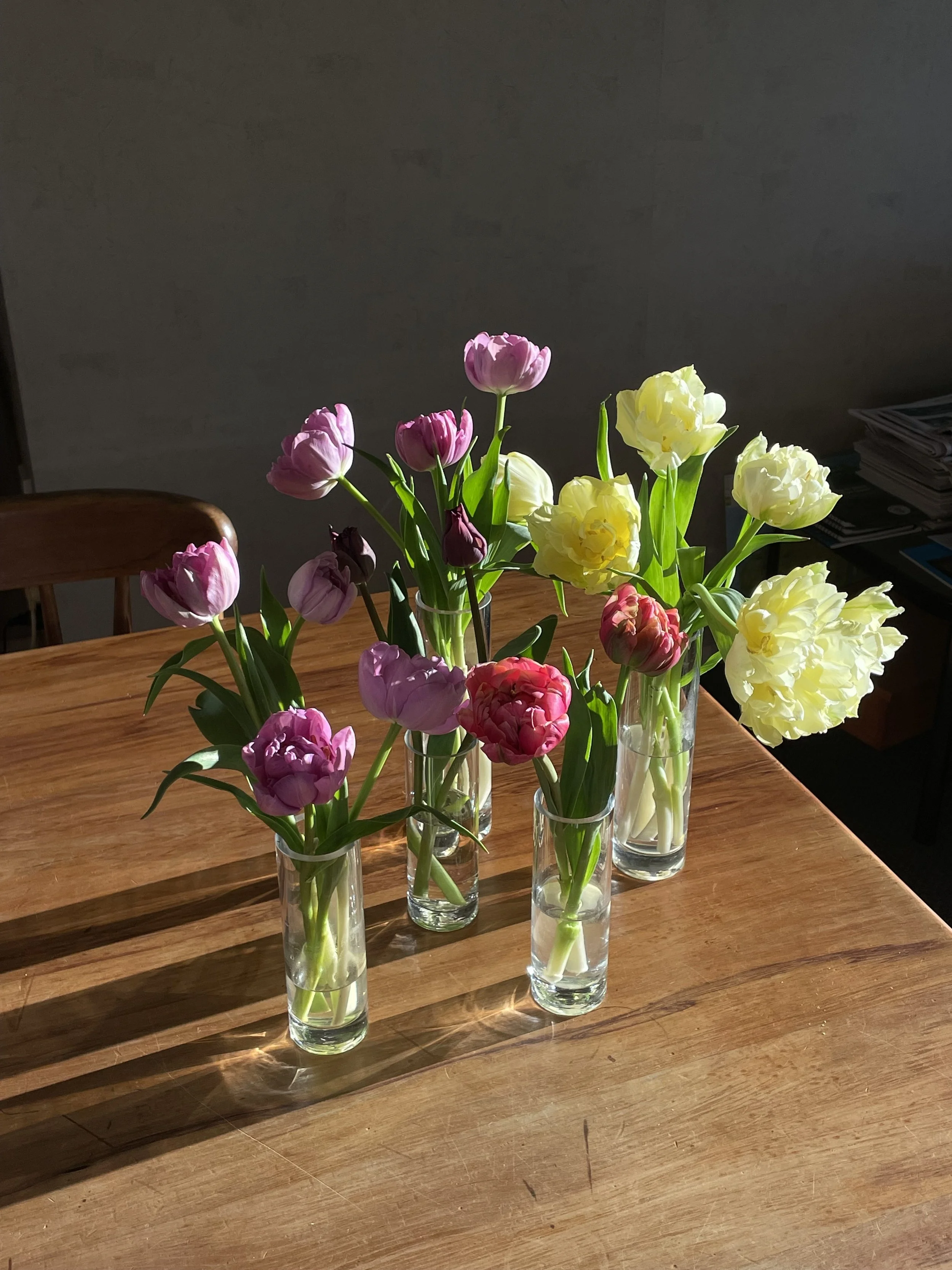 Tulips in the Sunshine.jpg