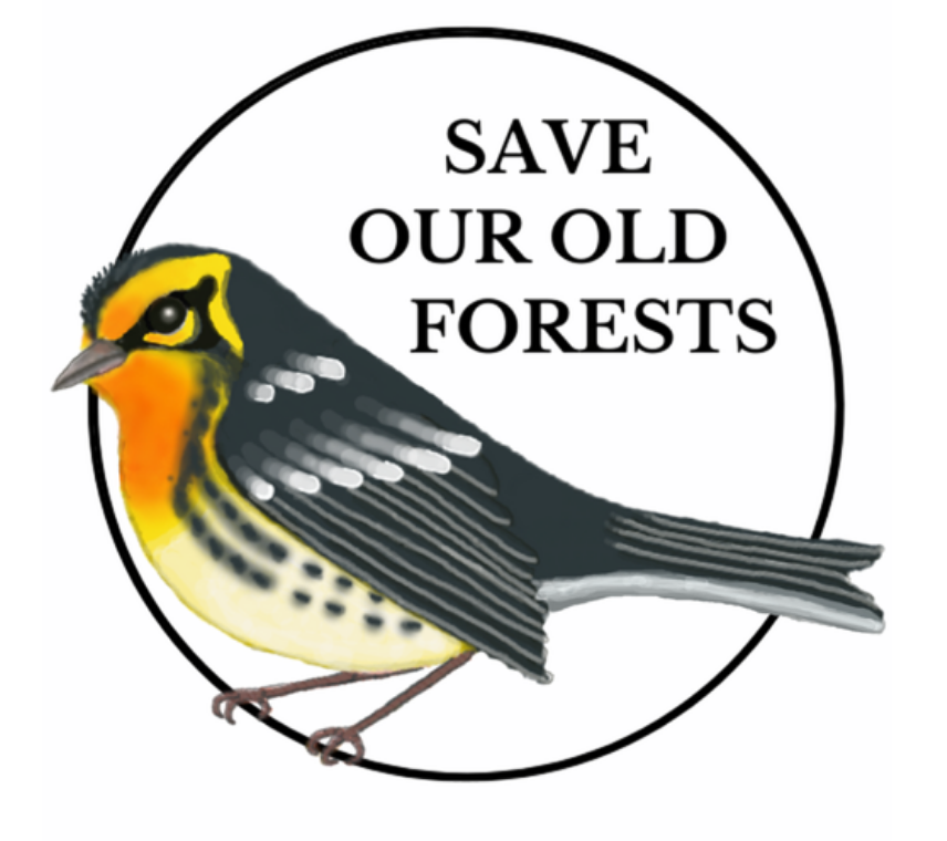SOOF Logo.png