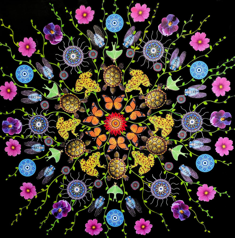 Biodiversity, 24" x 24", Mixed media on canvas.  Available in shop.  