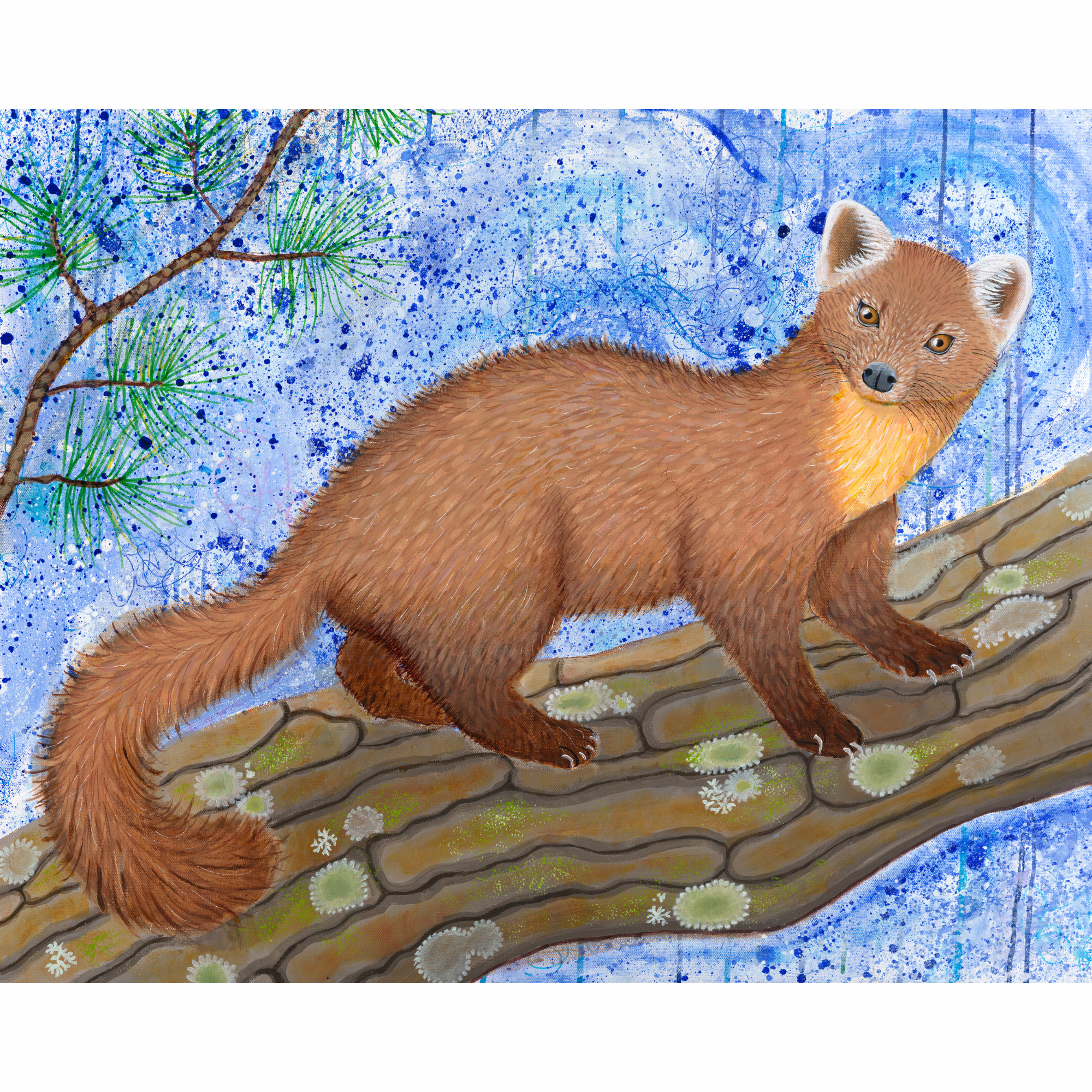 Original Painting "Sighting" (Pine Marten)