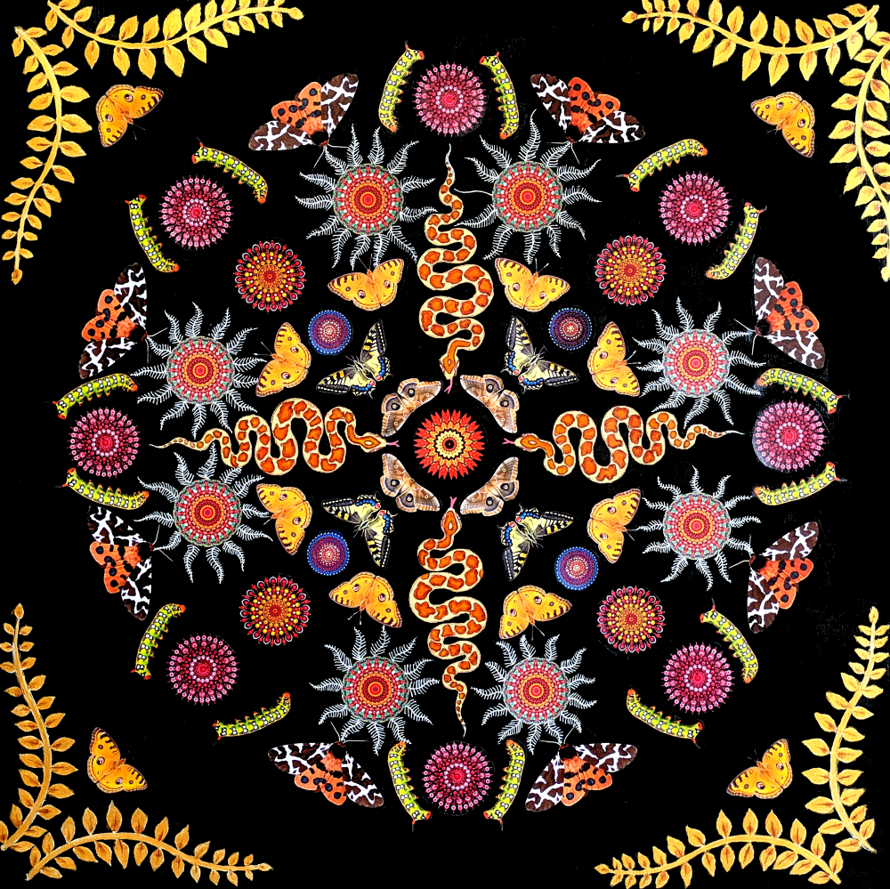 "Cycles" 24" x 24", Mixed media on canvas.  Available in shop.  