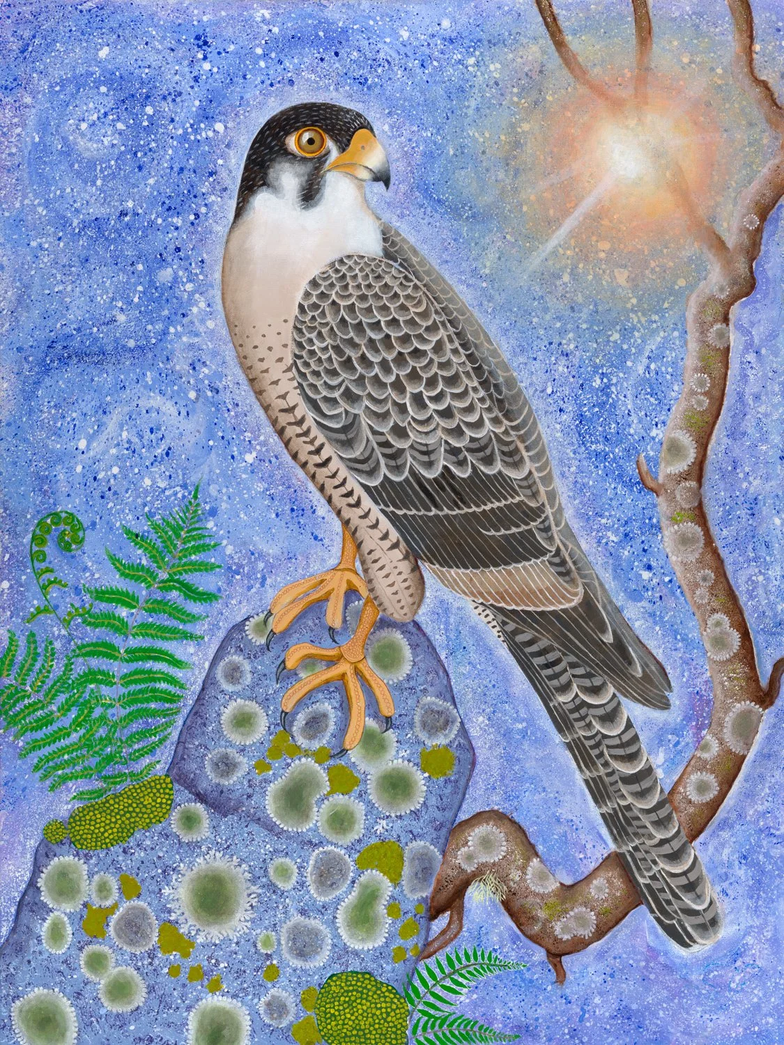 Peregrine Falcon - JPG.jpg