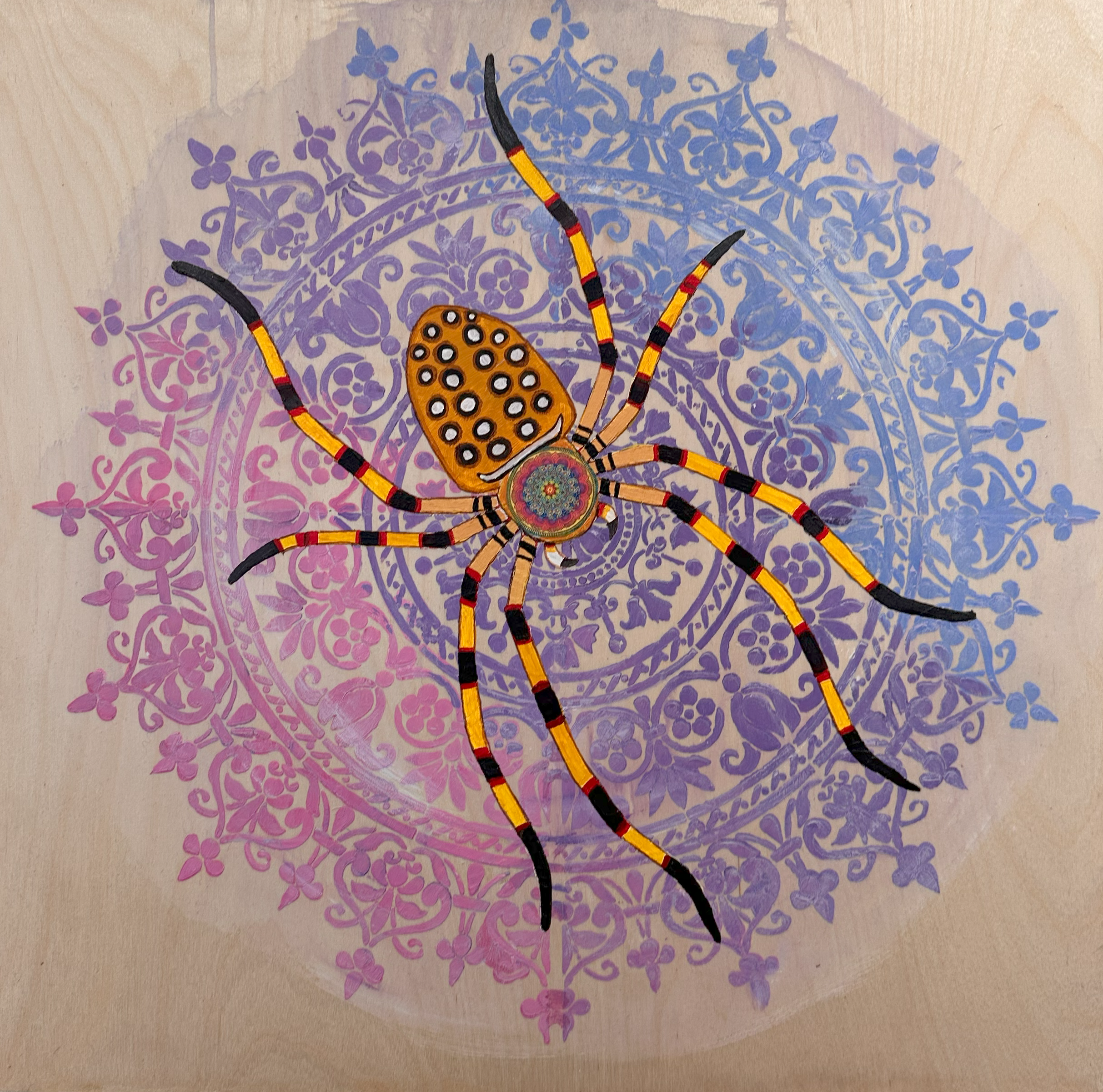 Garden spider.png