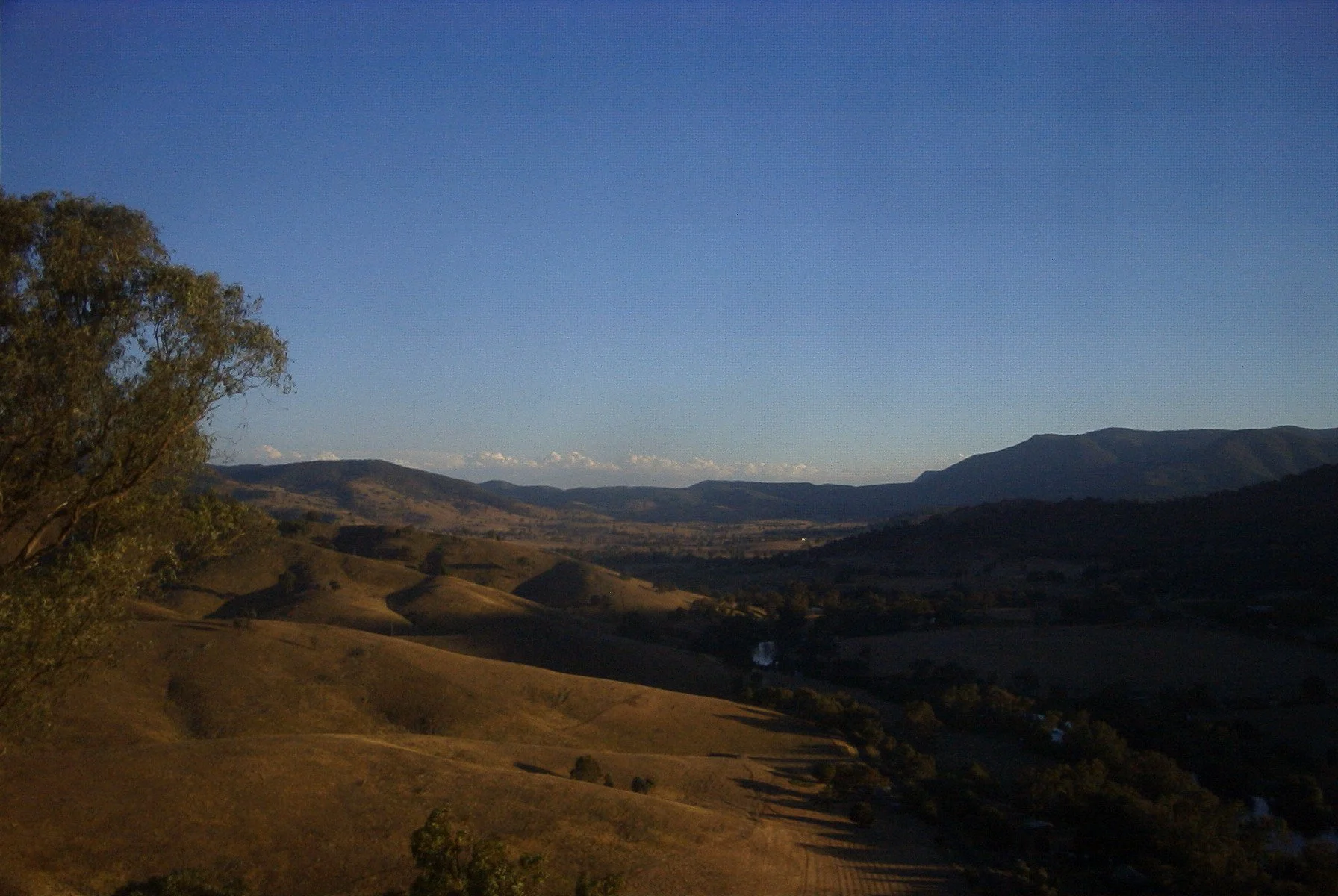 w1.JPG