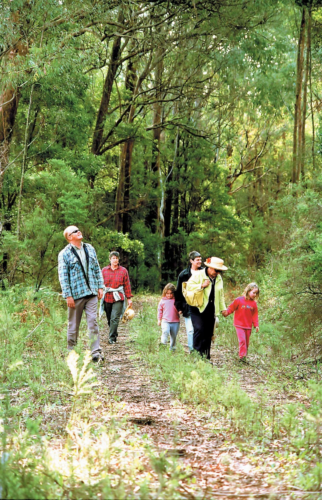 bush walkers.jpg