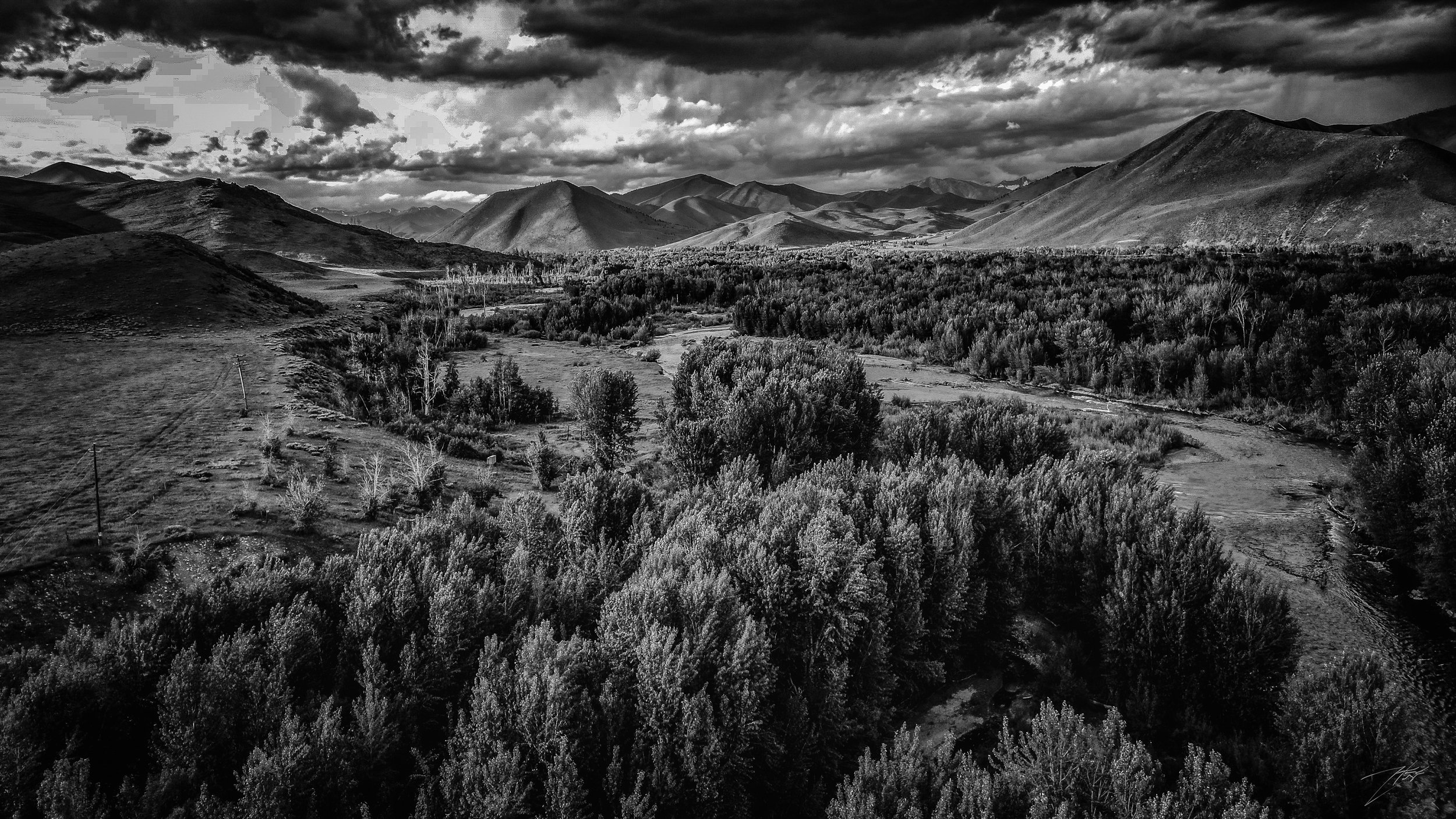 B&W-16.jpg