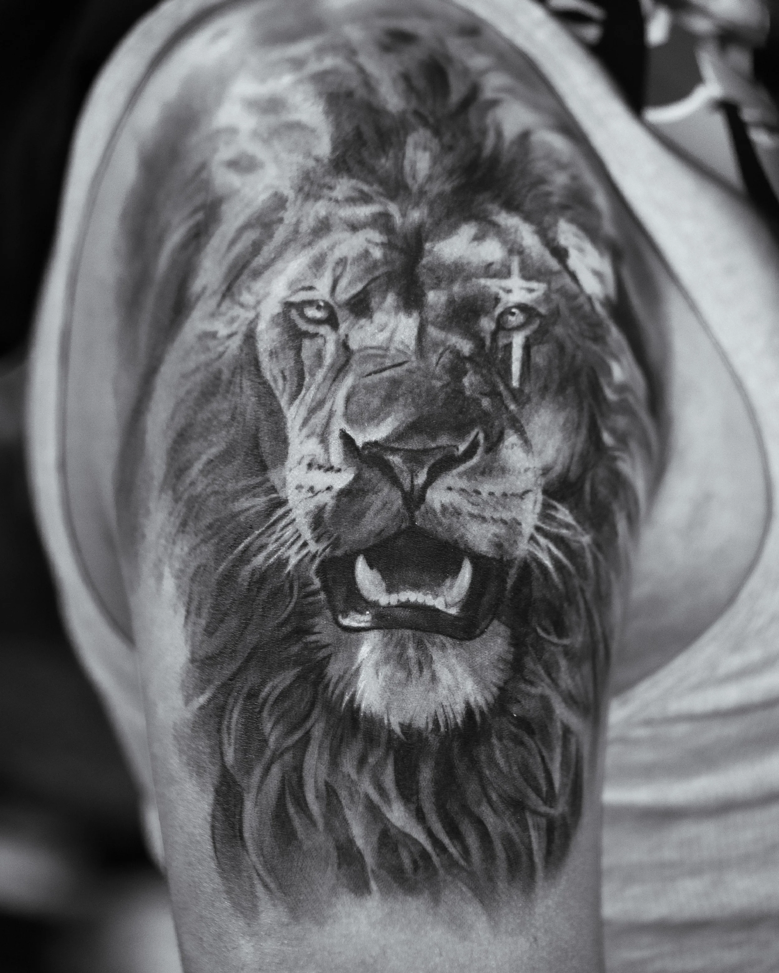 tat2love-besttattooselpaso-elpaso-blackandgreytattoo-liontattoo-coveruptattoo-besttattoo-fineline.jpg