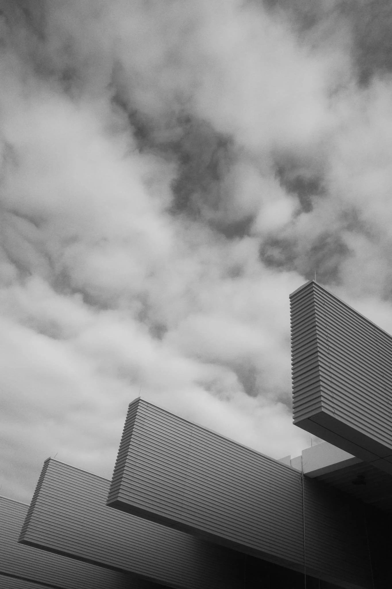 WhatsApp Image 2025-12-31 at 12.18.51 (1).jpeg