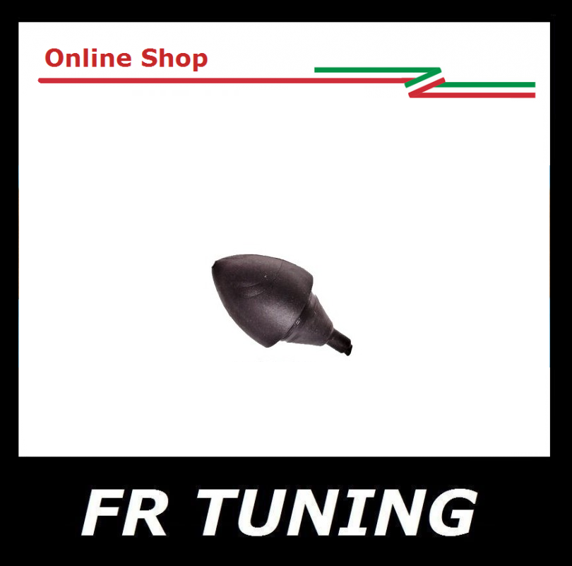 5198.jpg