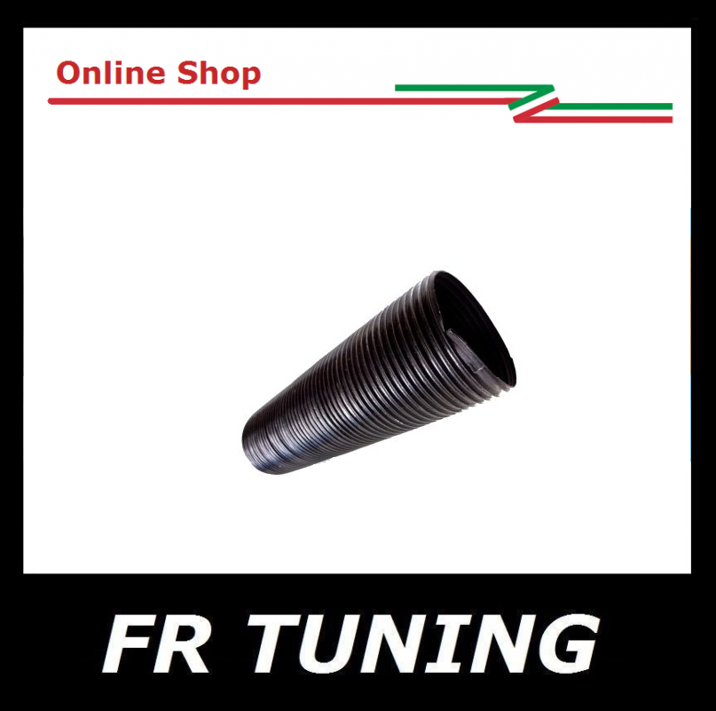 4805.jpg