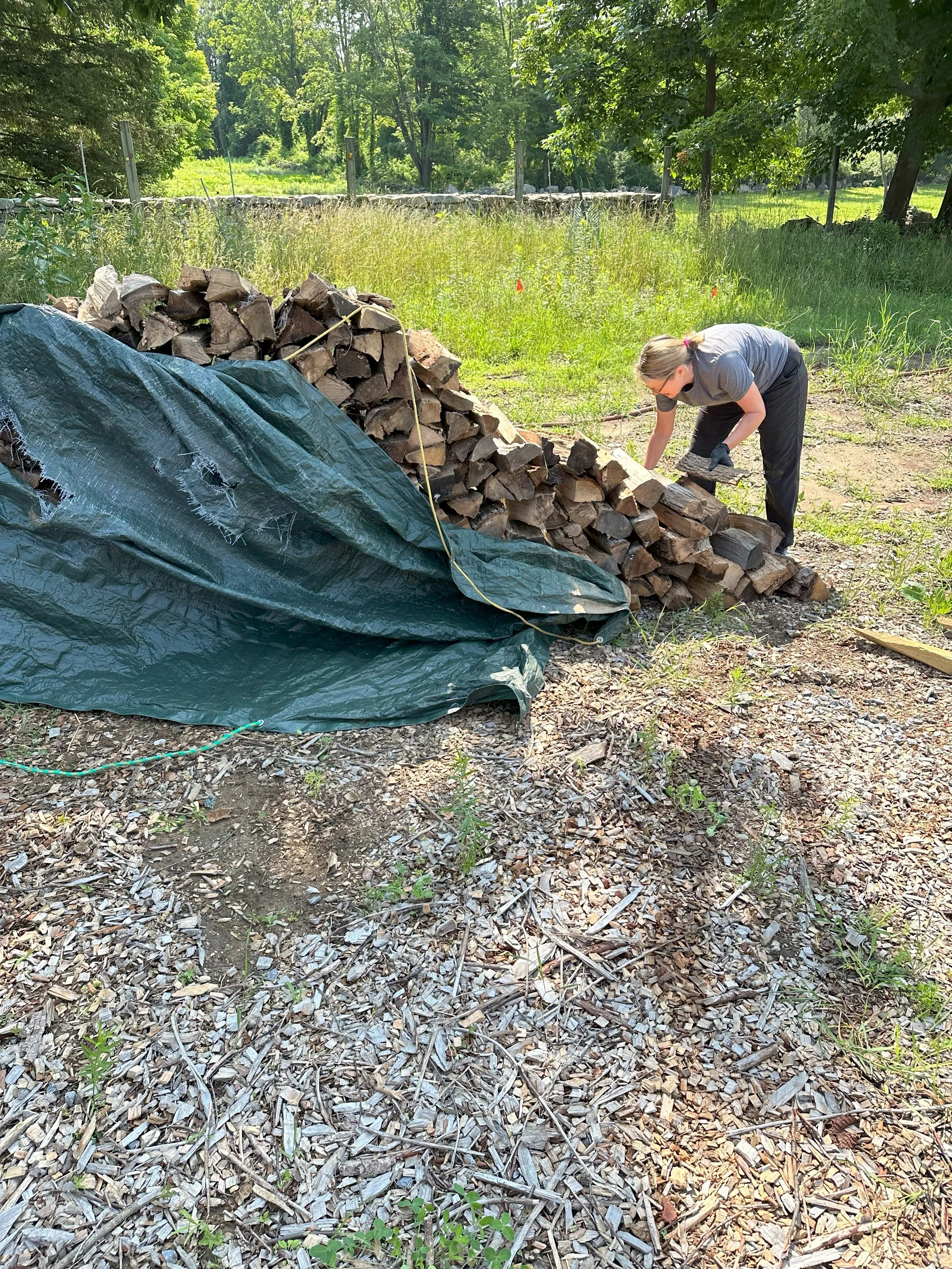 One of our crew members stacking wood from an unorganized wood pile.
