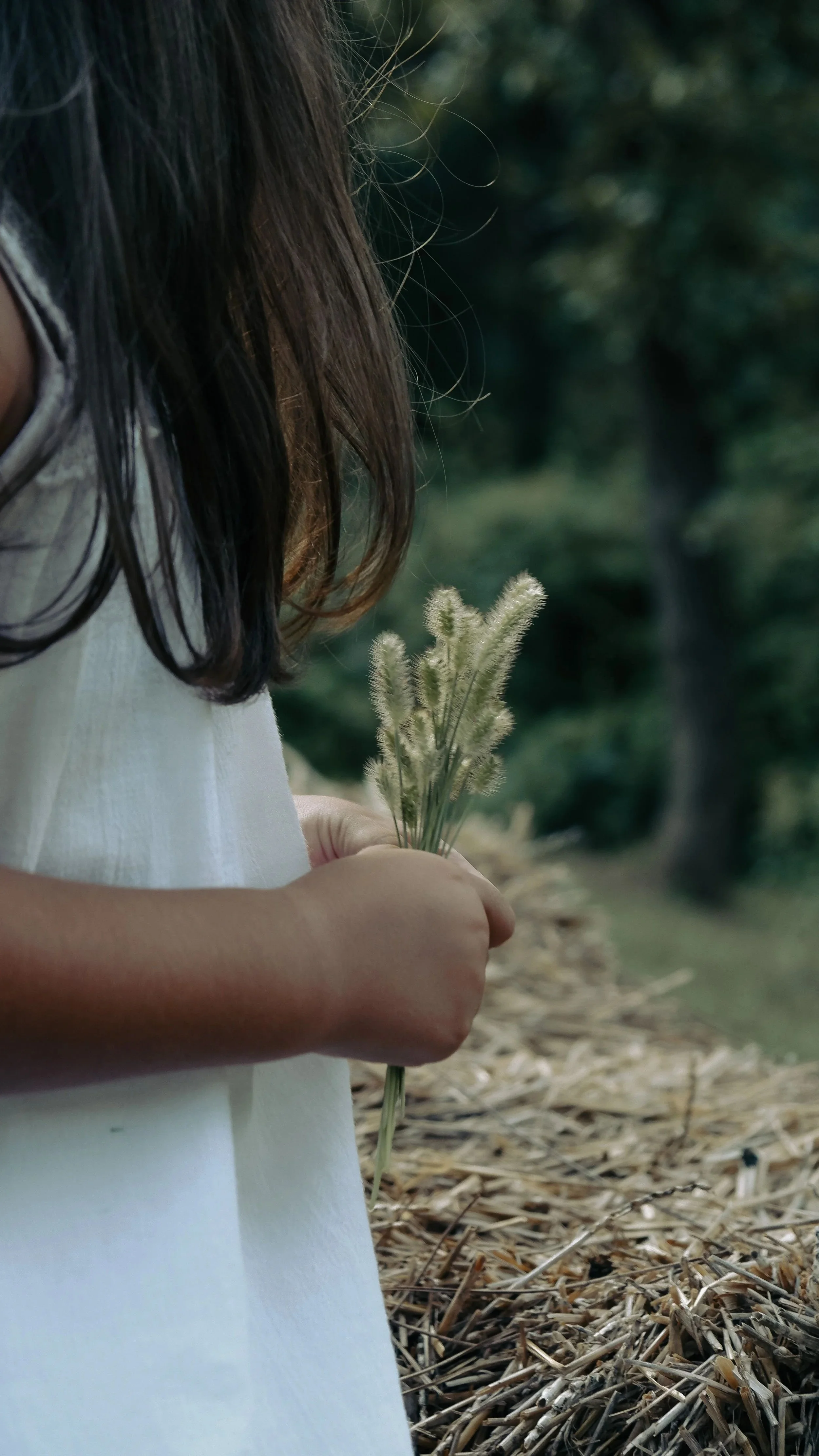 Unacceptable Risk to Children in Family Law