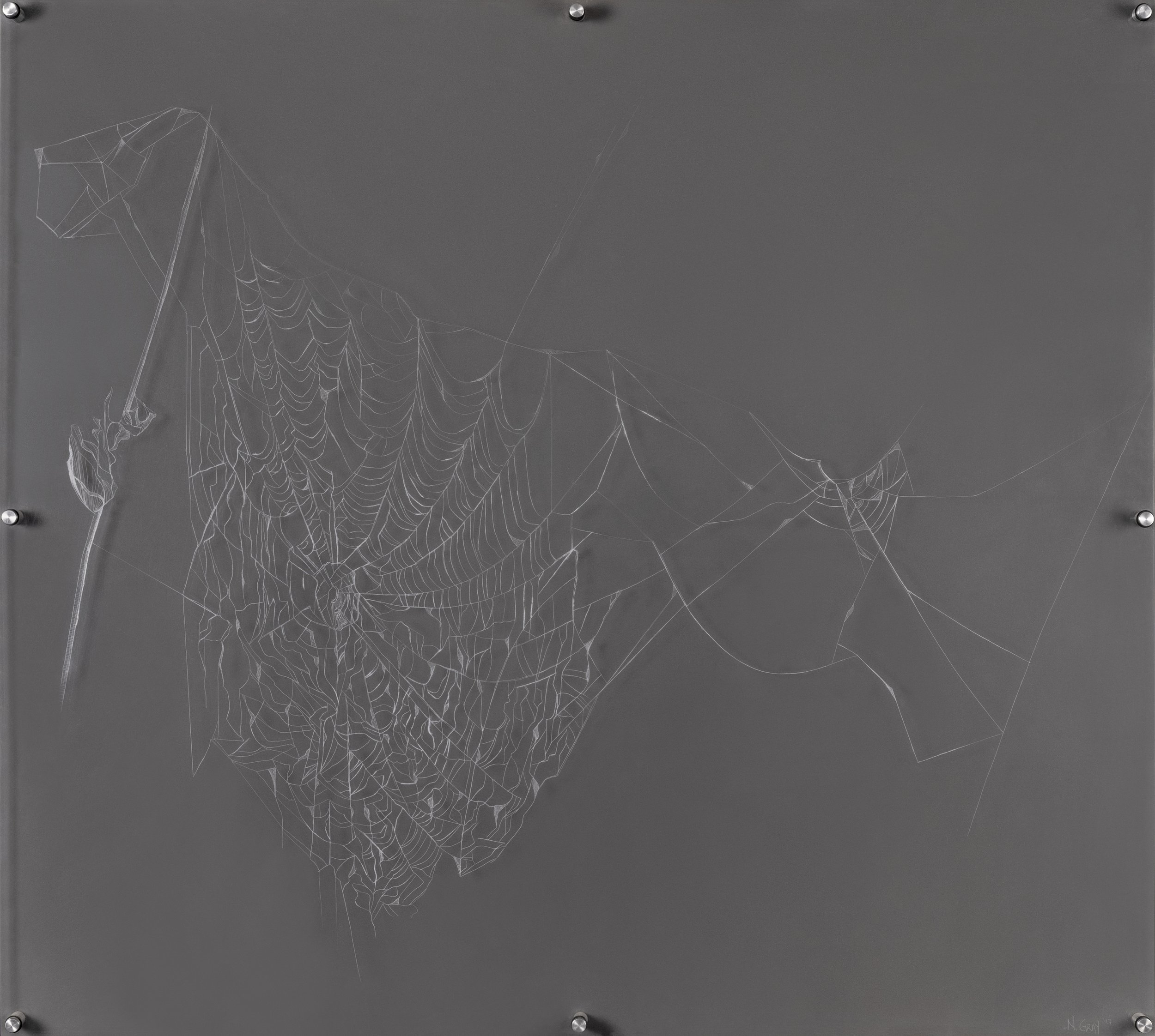 Drooping web - Scratched drawing on acrylic
36 x 40 inches