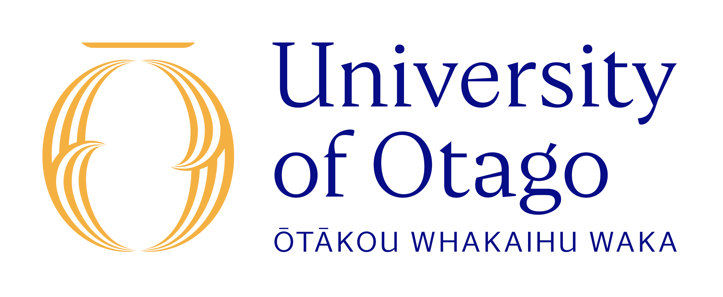 Senior Professional Practice Fellow/Lecturer/Senior Lecturer - College of Education - Dunedin