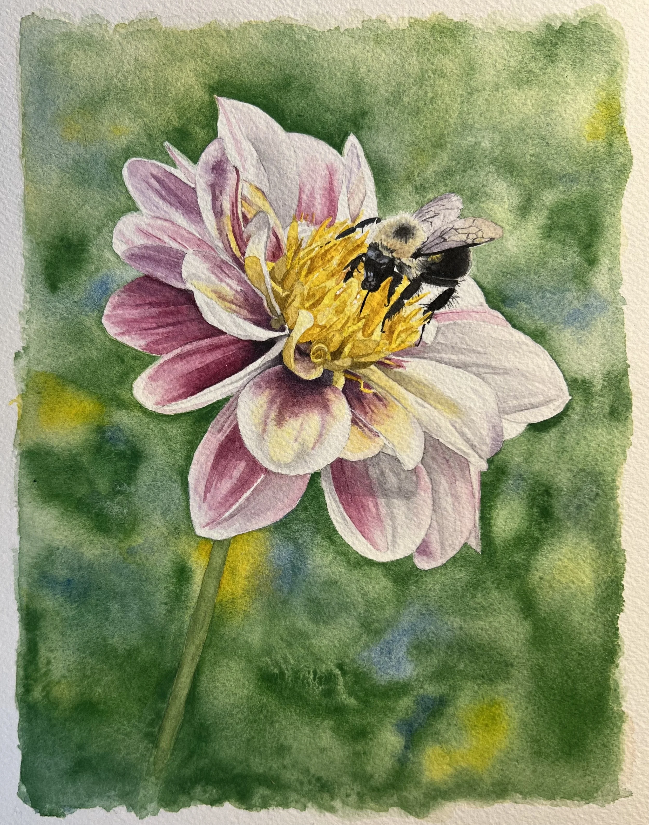 
Minnesota State Fair Blue Ribbon Winner