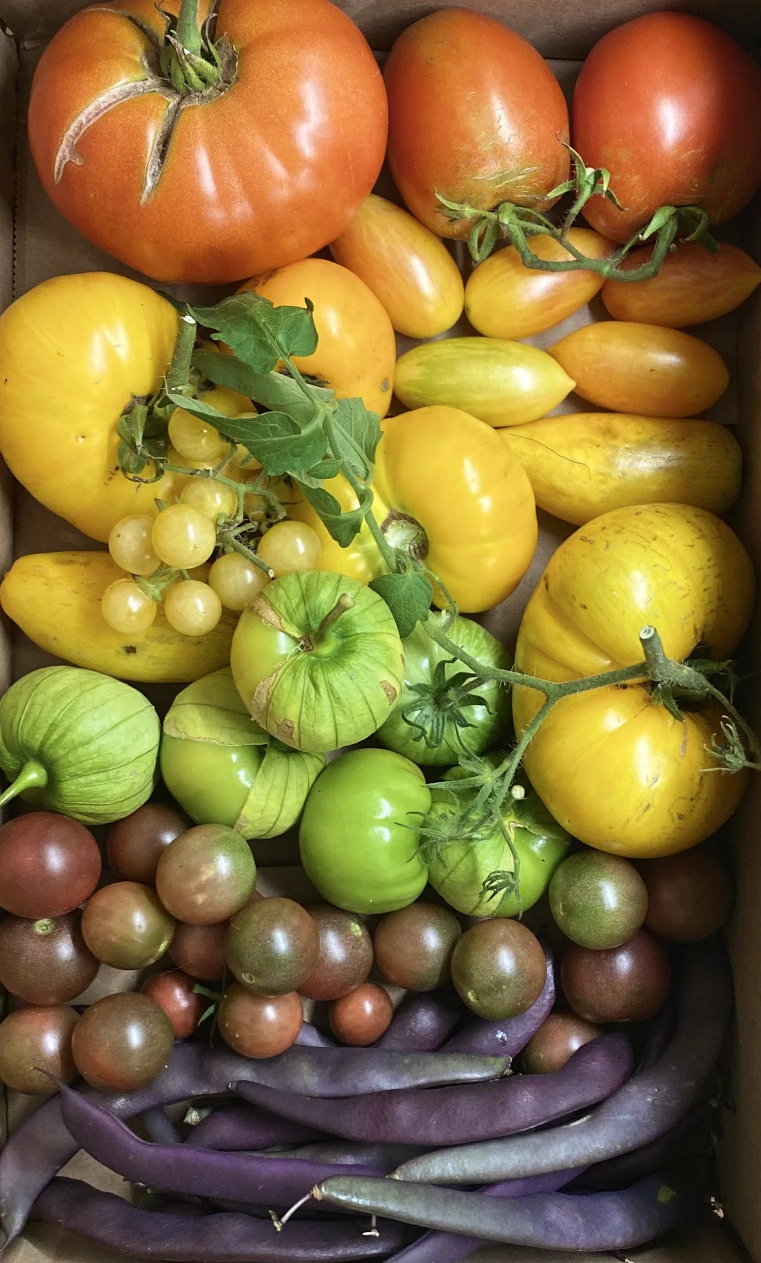 Lemont Farmers Market