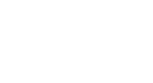 North Texas TRANSportation Network