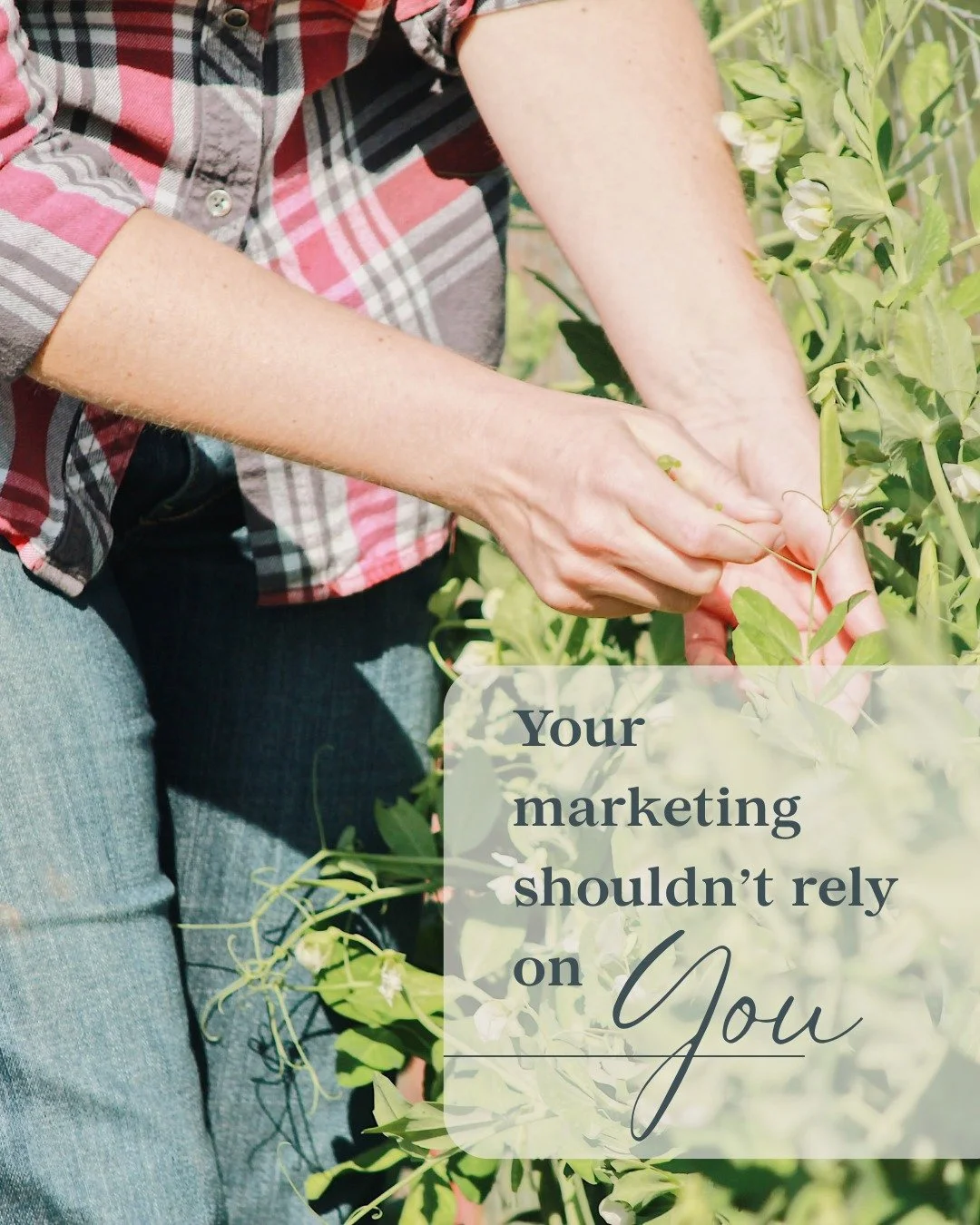 Most farm and food business owners aren't doing too little marketing. They're doing too much of it themselves.

When your marketing lives entirely in your head&mdash;your ideas, your instincts, your late-night effort&mdash;it can&rsquo;t scale. If yo