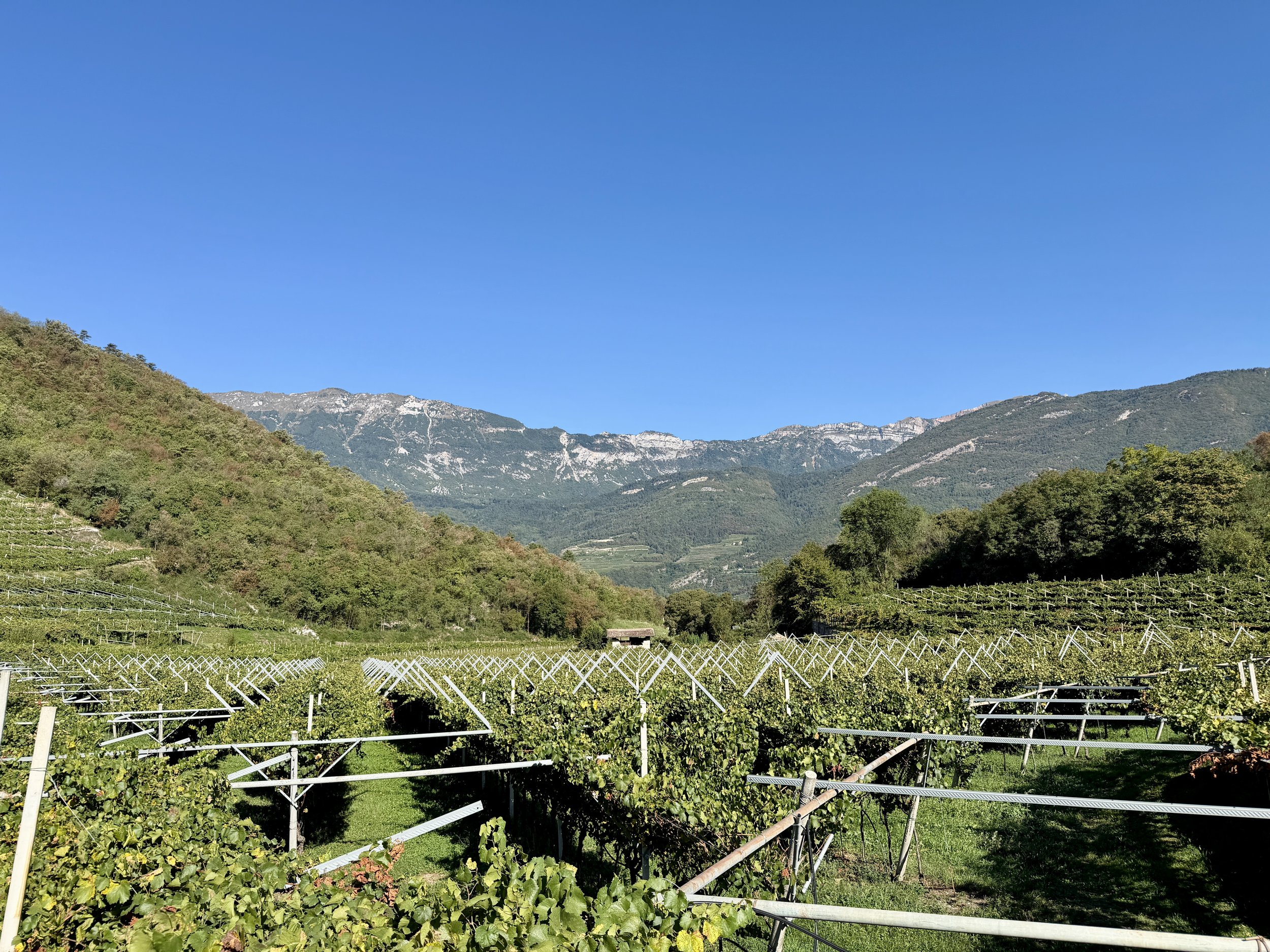 The “Long Eat” in Trentino