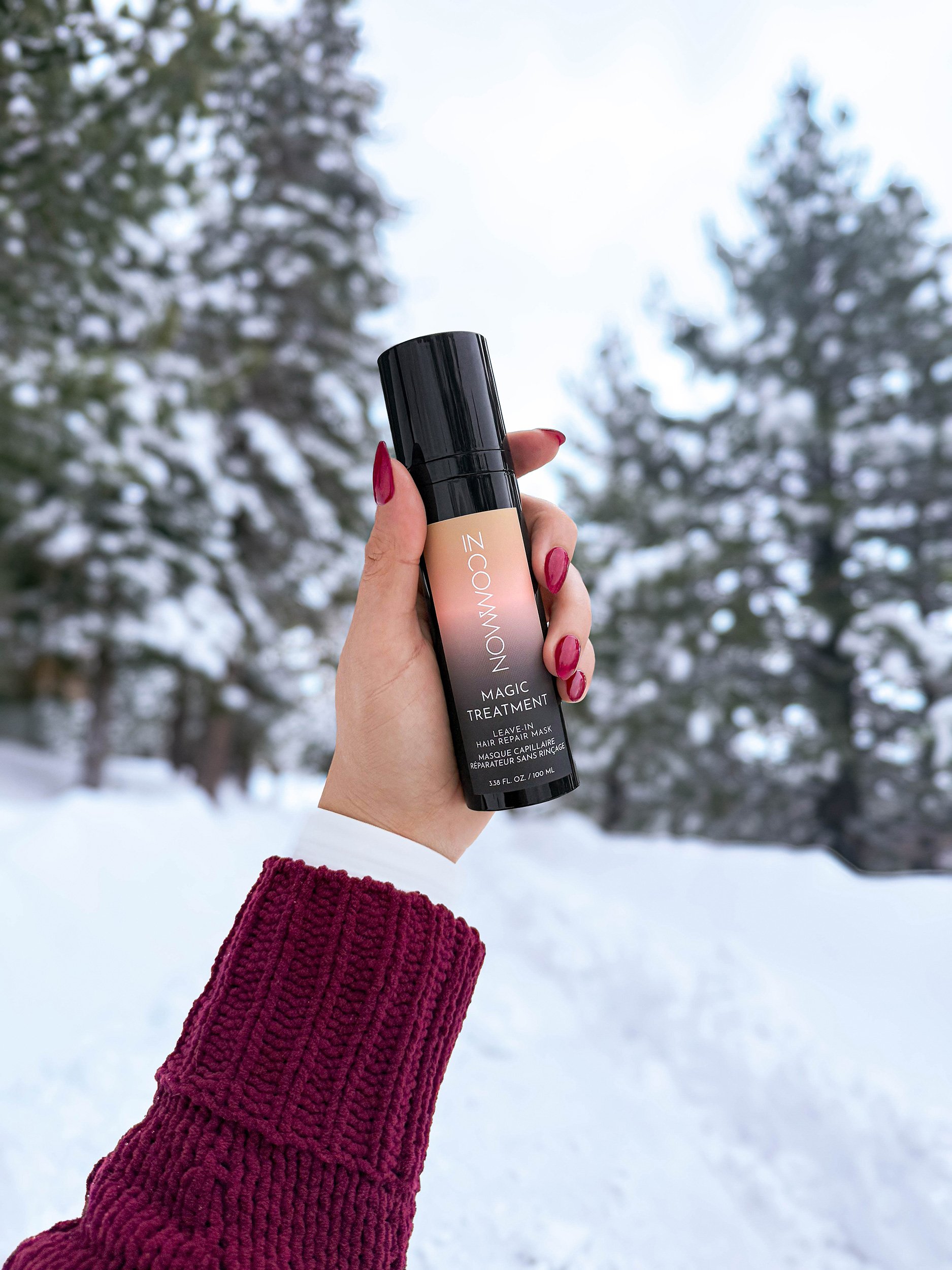 ICB_DigiFixStudio_WinterSnow-5608_2500.jpg