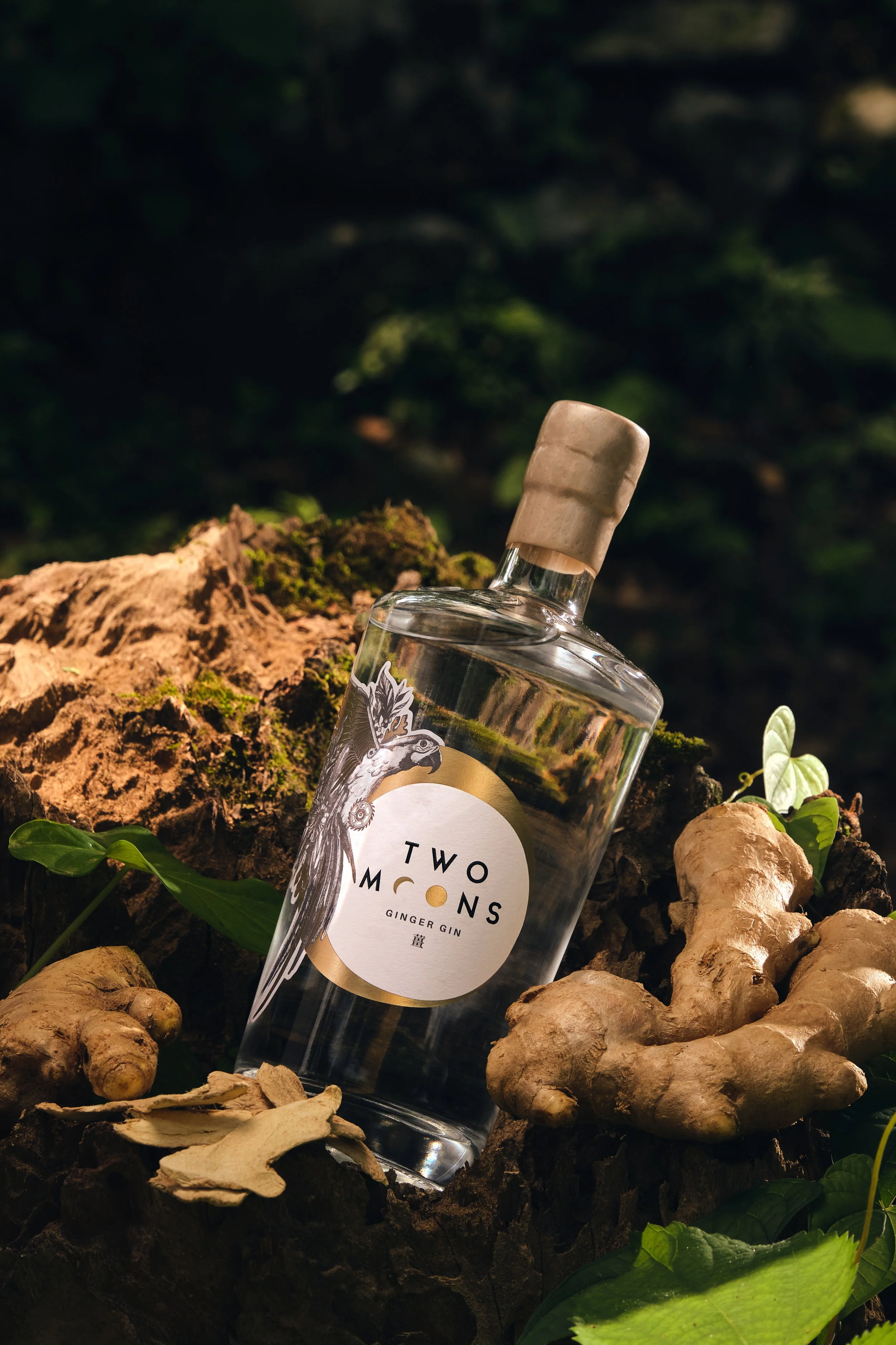 Ginger Gin 02 (cropped).jpg