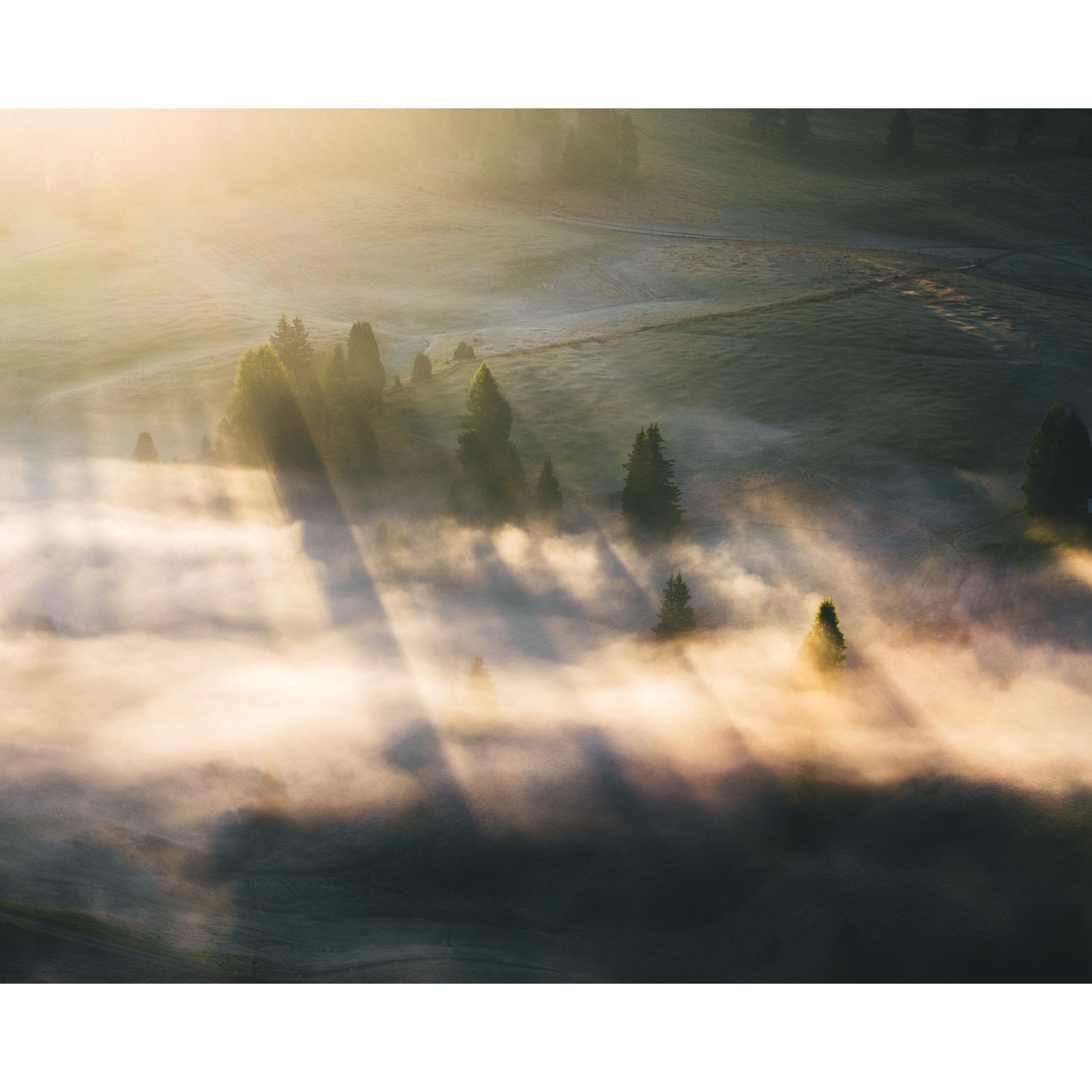 Foggy-Italian-Morn(UNFRAMED).jpg