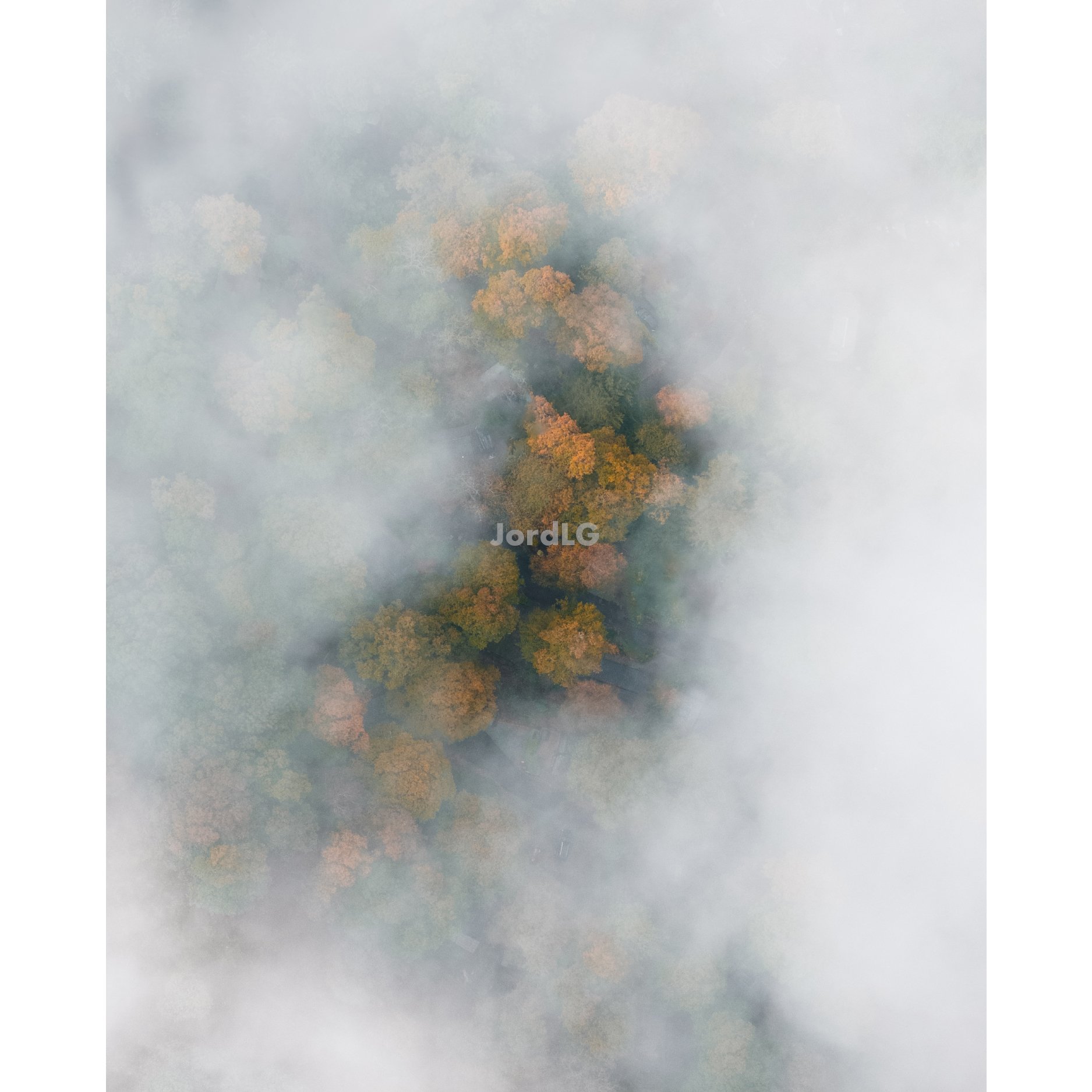Autumn-Through-The-Mist(UNFRAMED).jpg