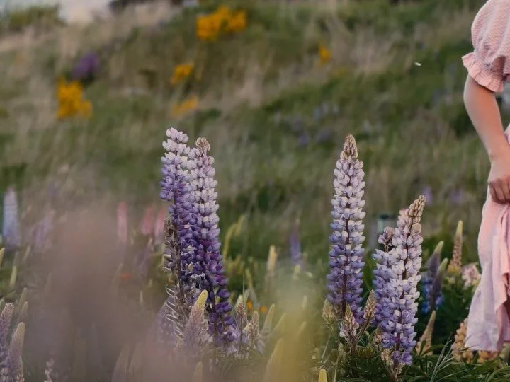 Went back over some archived footage from NZ. Miss this country so muchhhh! 🏔️🪻
#nz #newzealand #travel #nature #adventure #explore #fyp