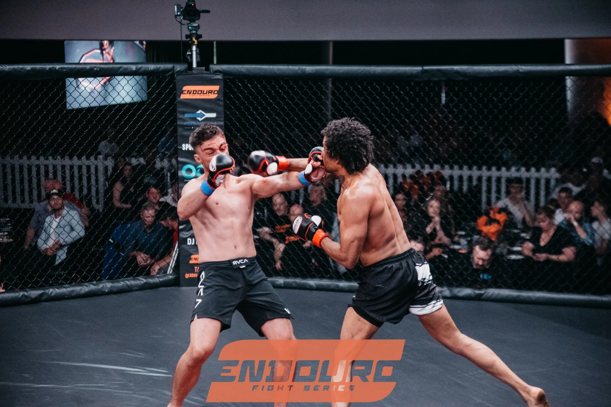 _DSC3338.jpg