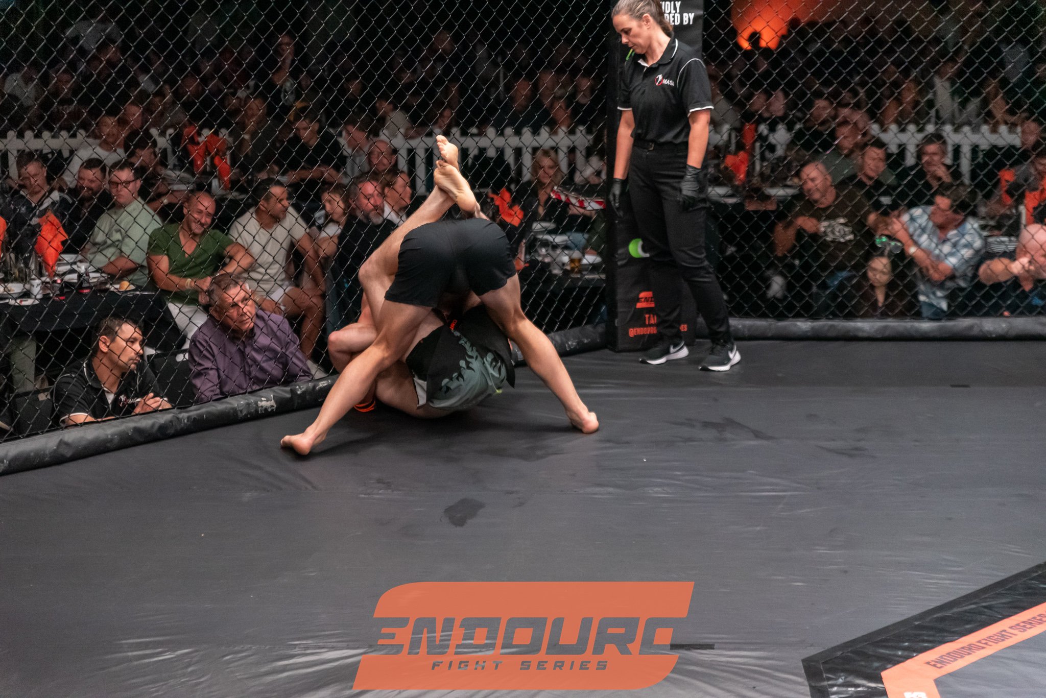 _DSC3847.jpg