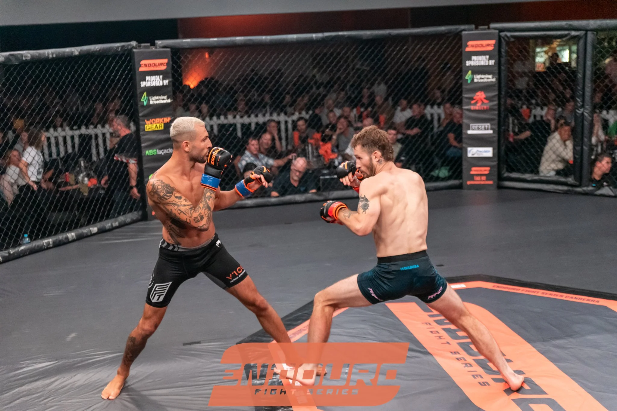 _DSC4537.jpg