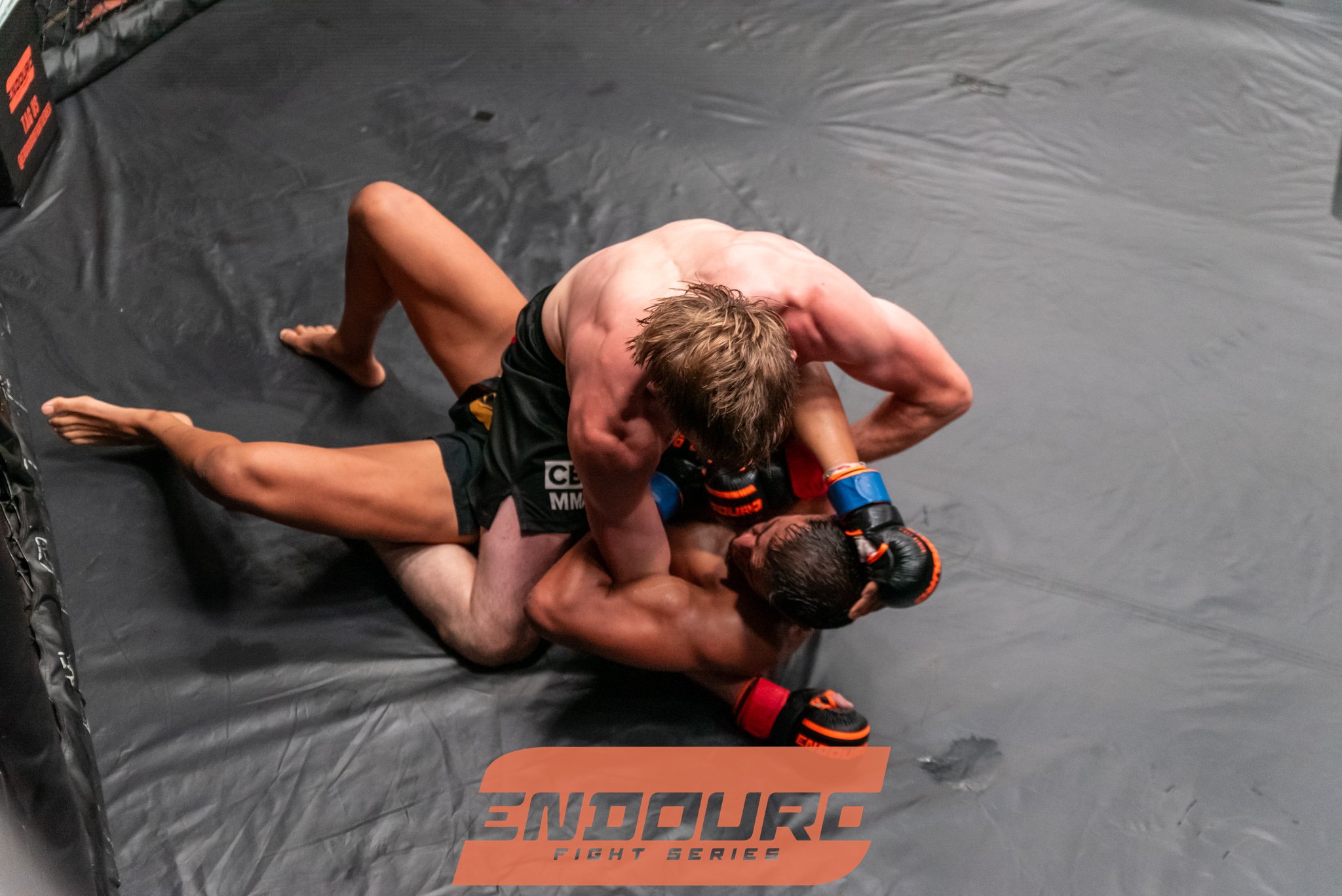 _DSC4691.jpg