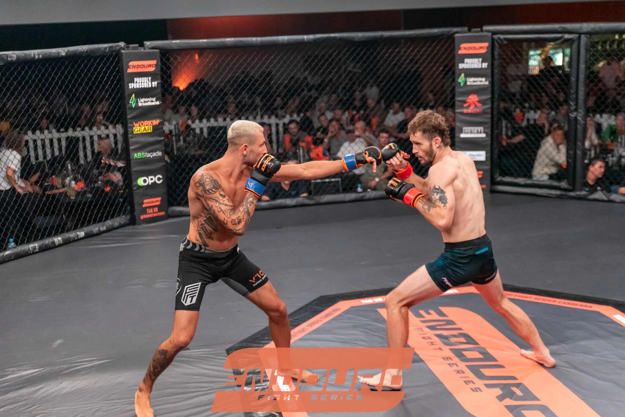 _DSC4536.jpg