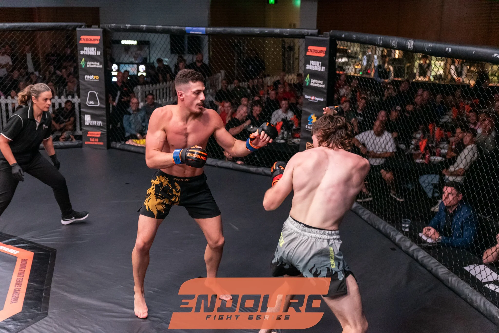 _DSC3804.jpg