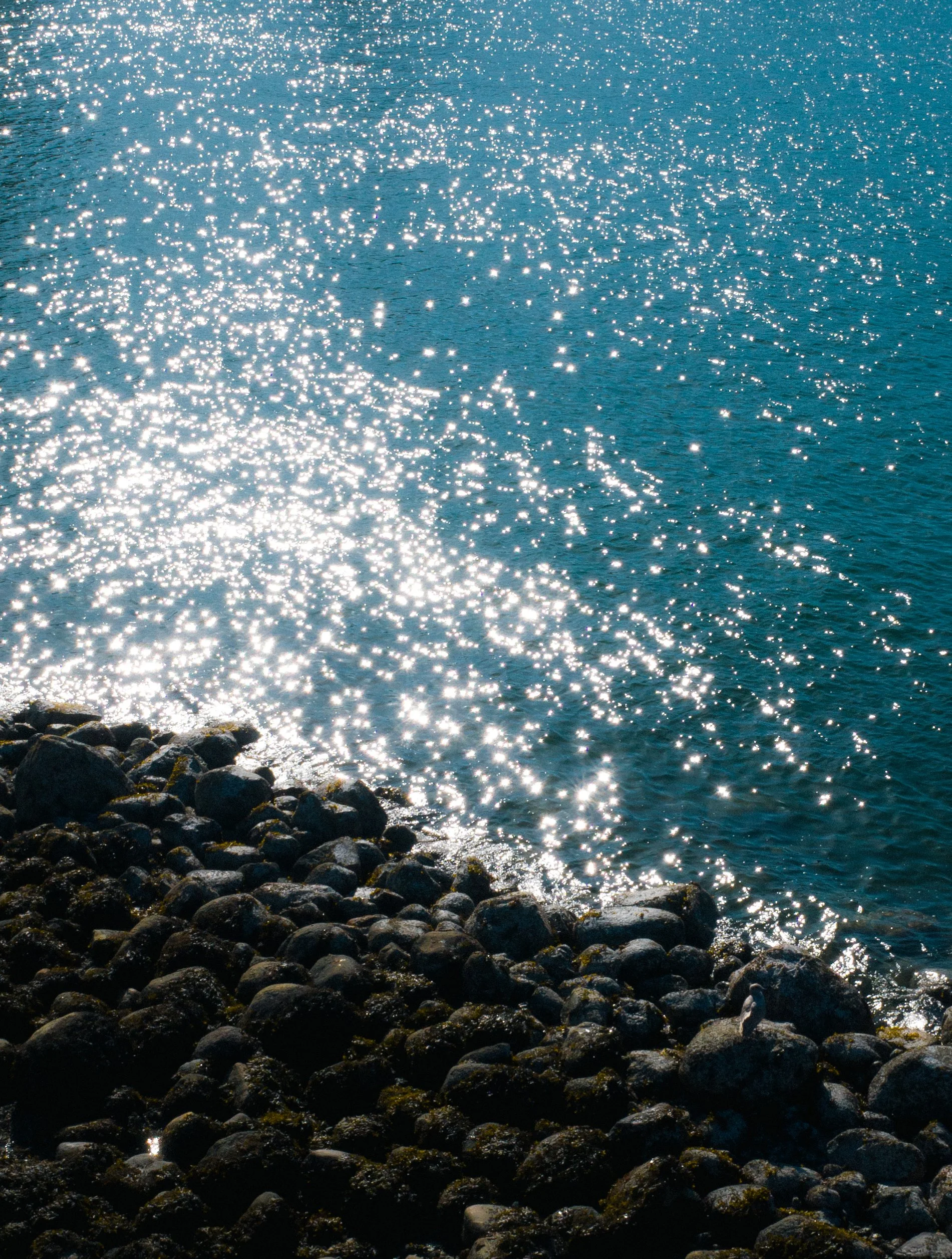 R0001242.jpg