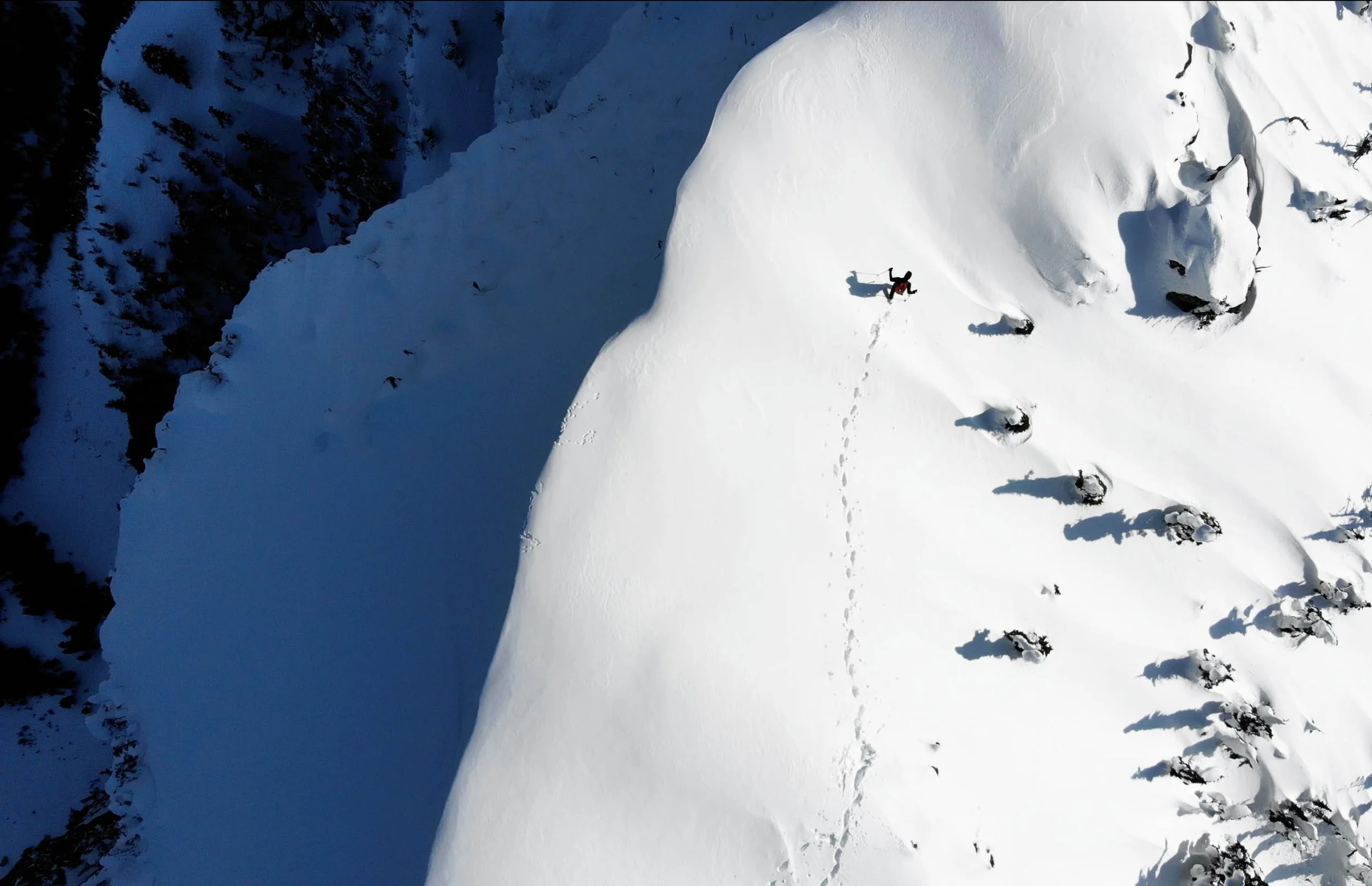 Screenshot 2023-03-19 at 2.47.42 AM.jpg