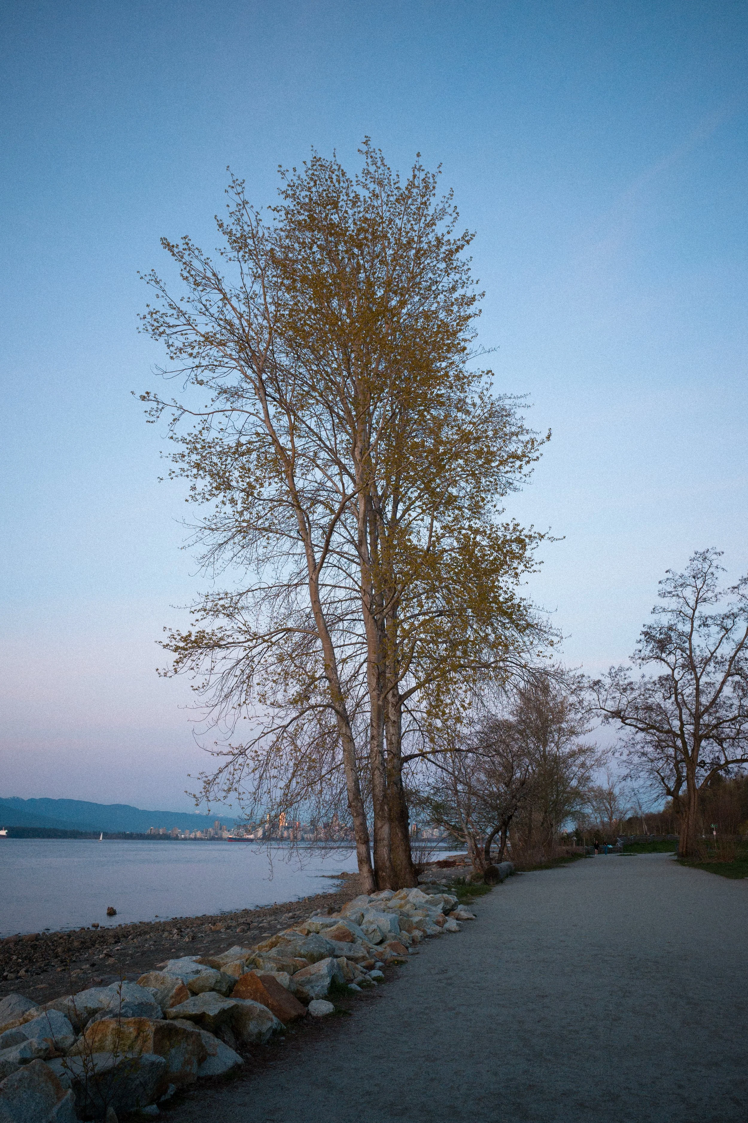R0000843.jpg