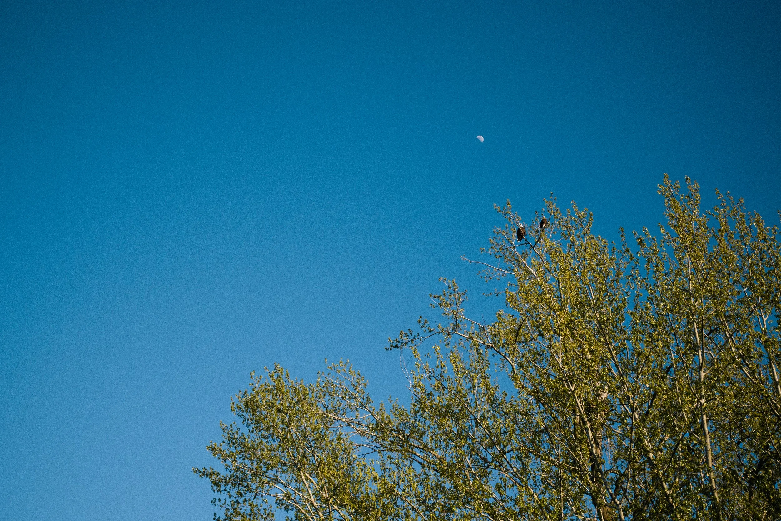 R0001130.jpg