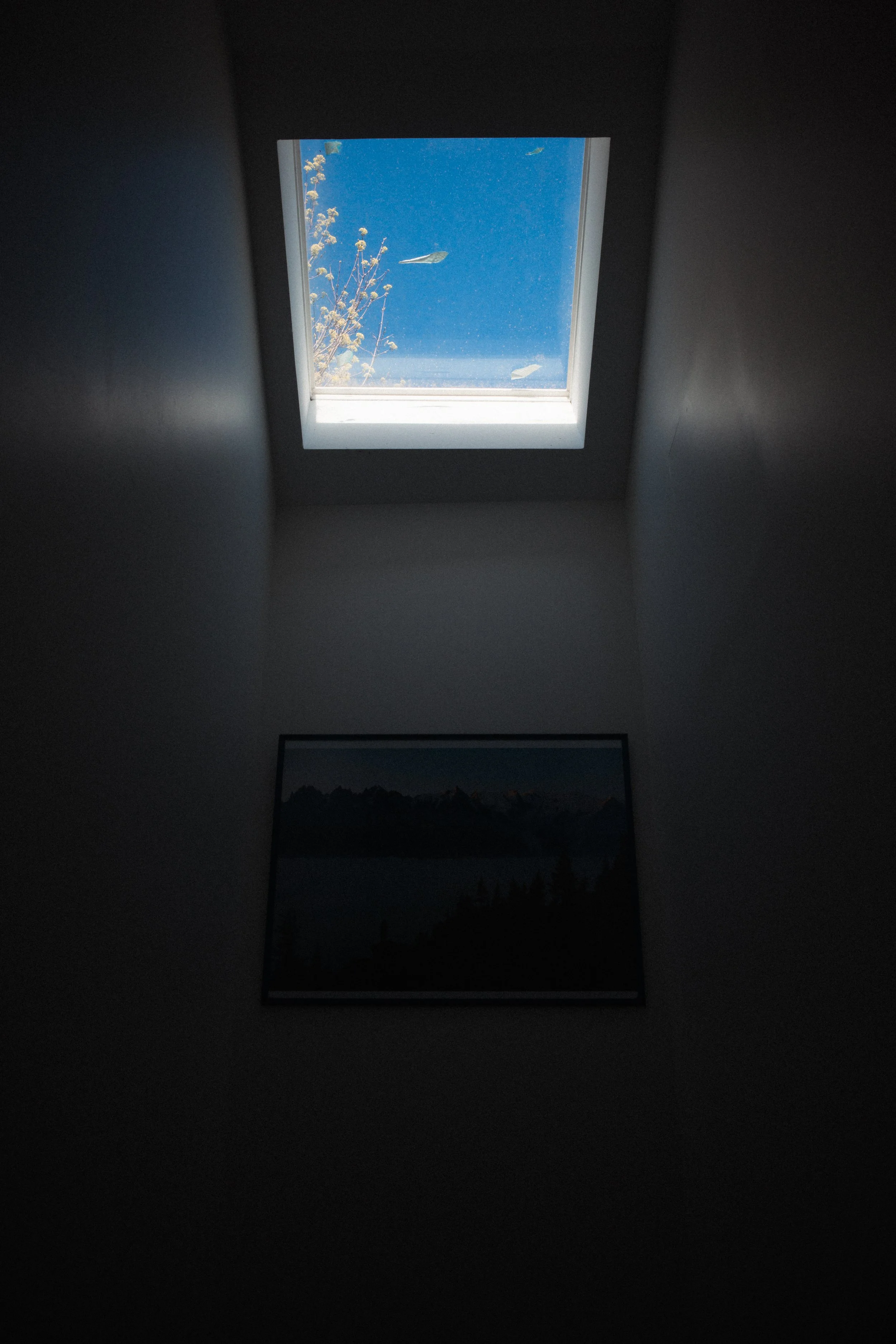 R0000819.jpg