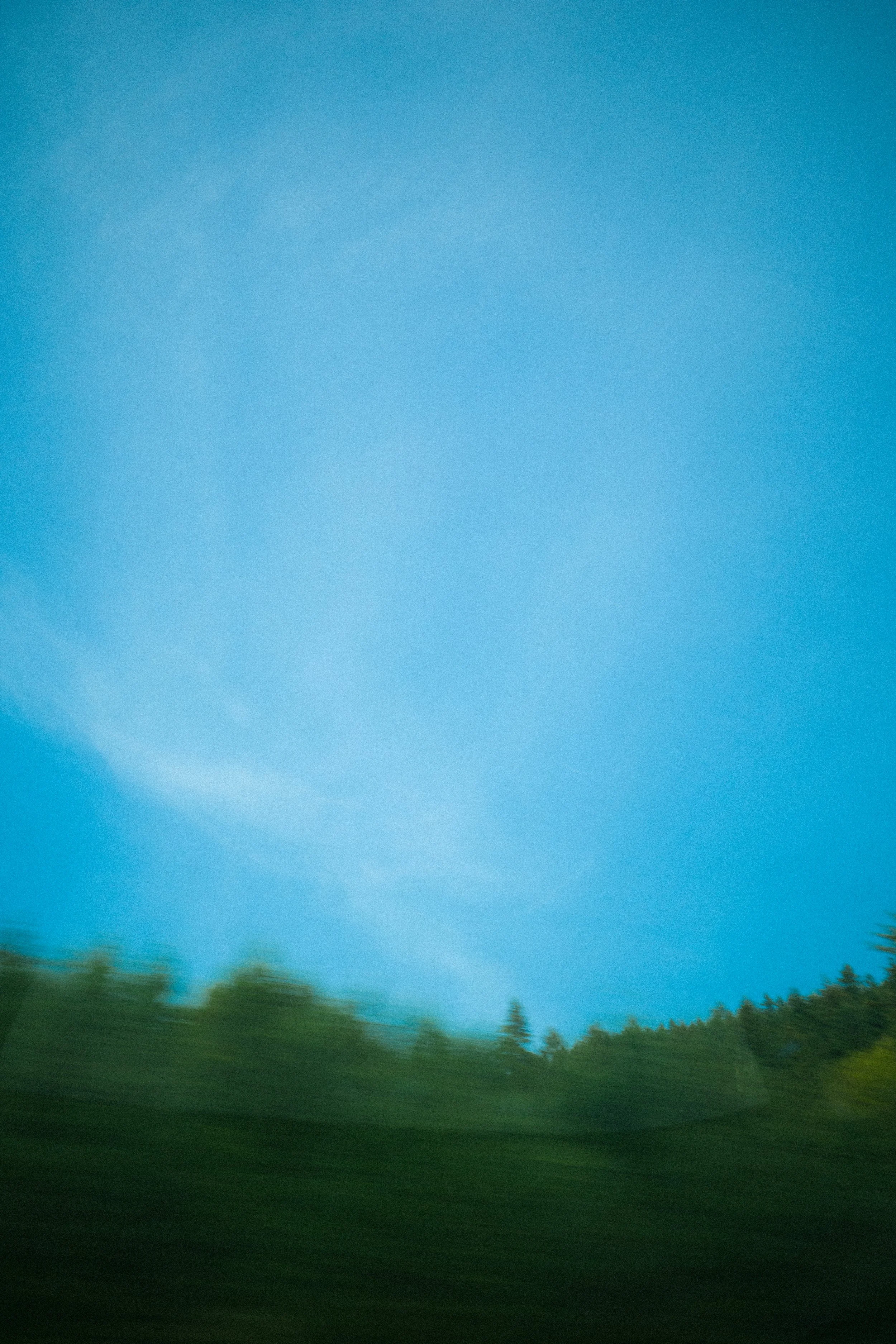 R0001052.jpg